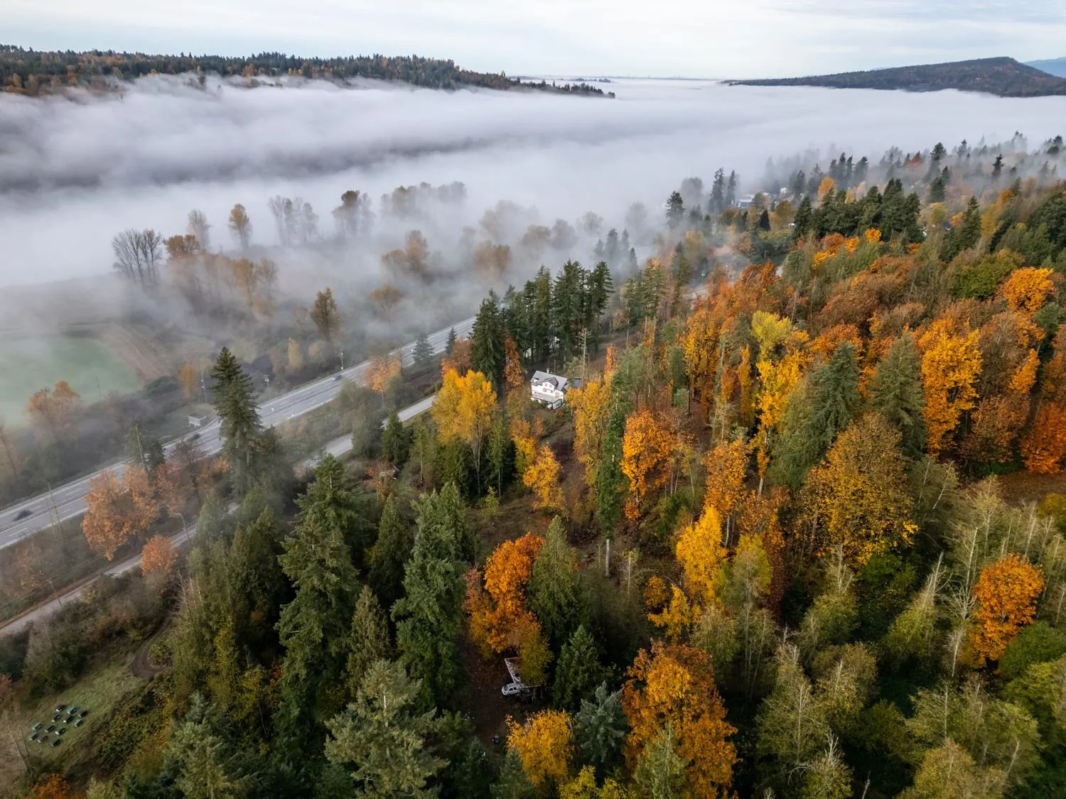 30087 Silverdale Avenue