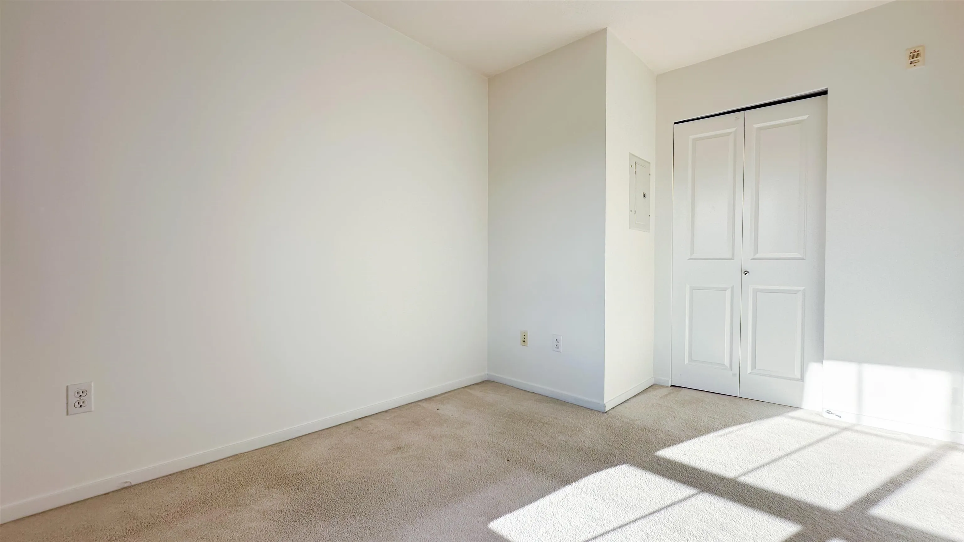 310 9098 Halston Court