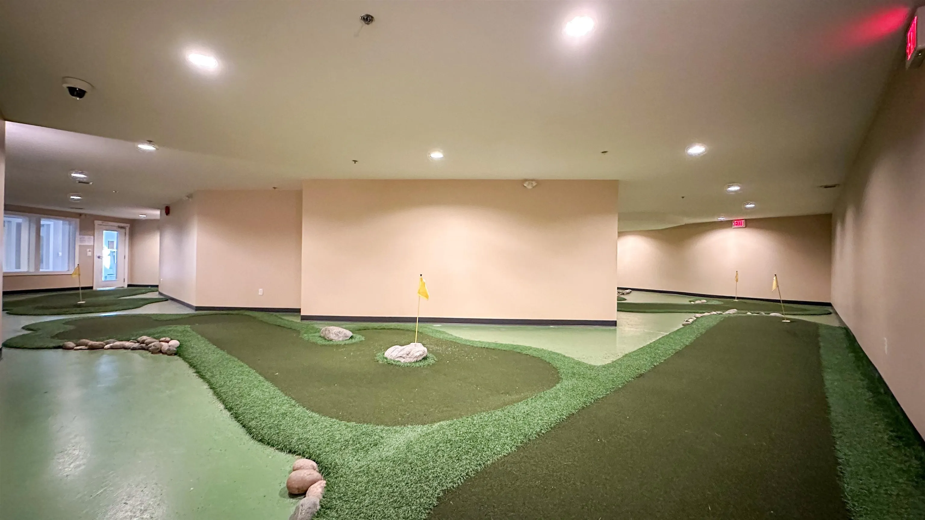 310 9098 Halston Court