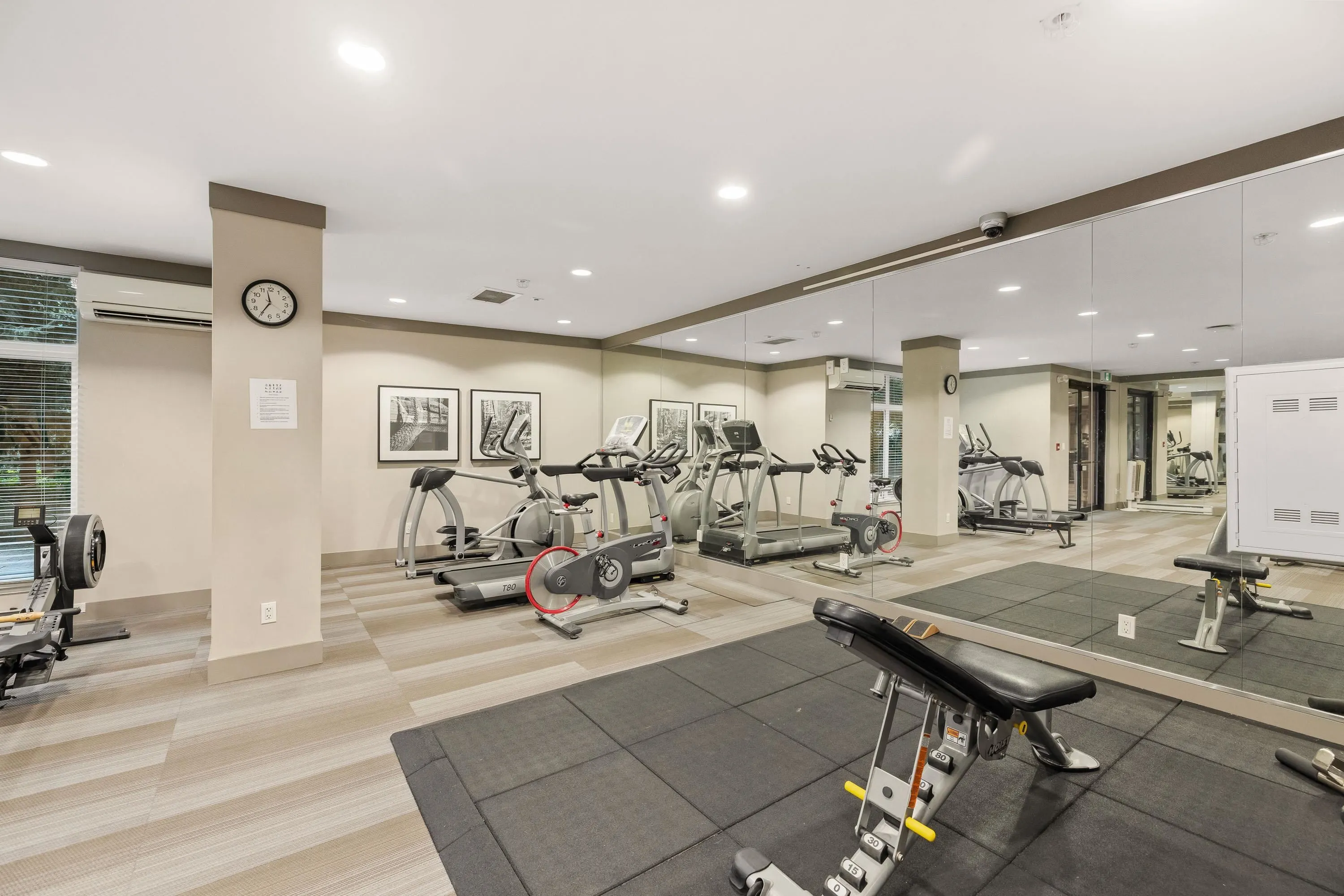 404 260 Salter Street