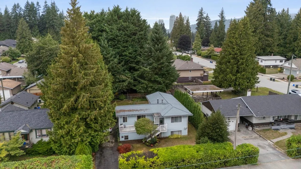 674 Blue Mountain Street