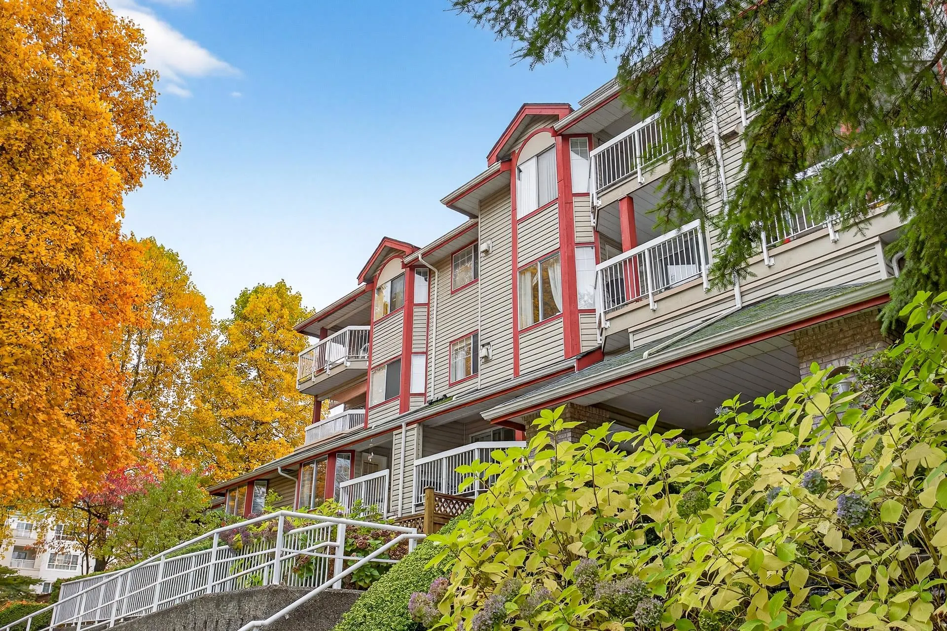 107 1215 Pacific Street