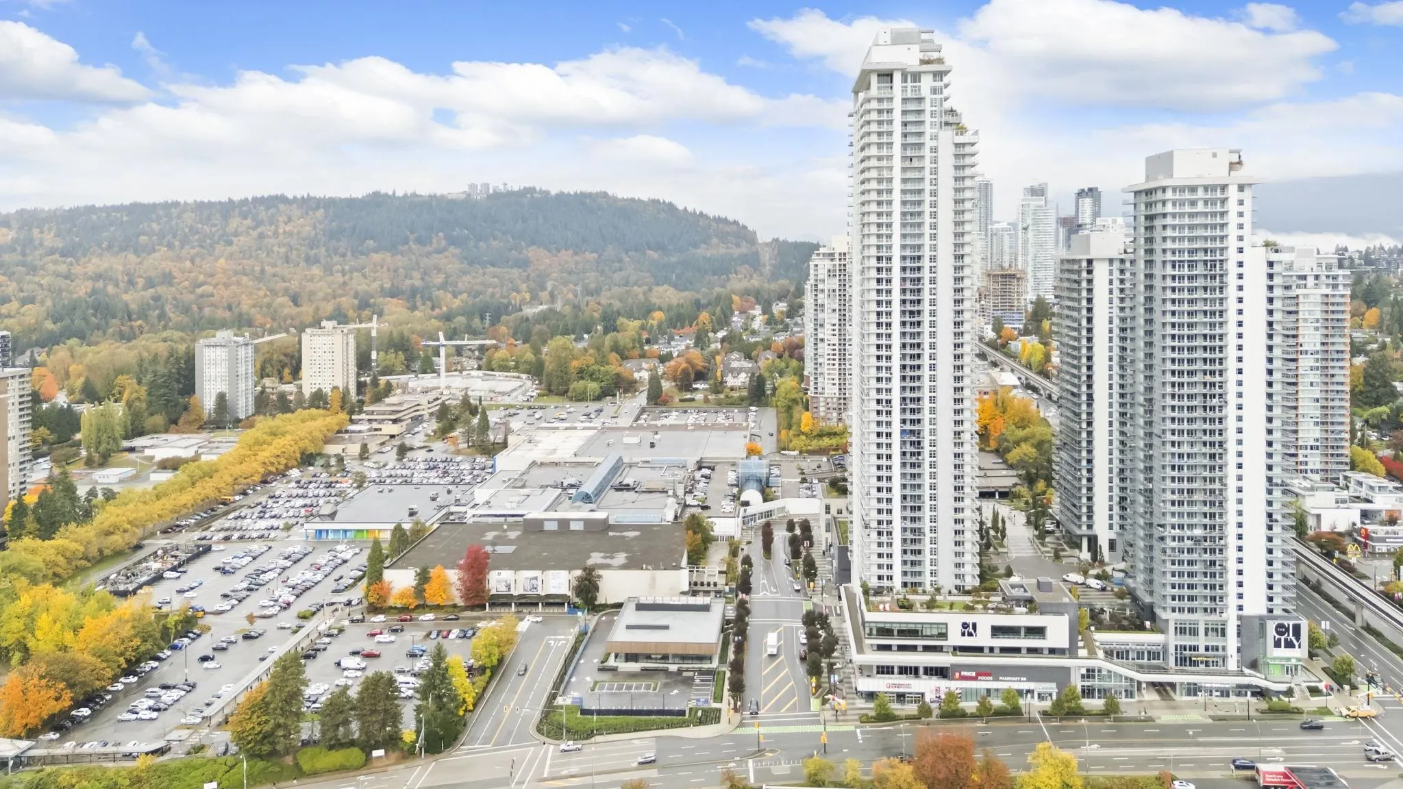 110 9847 Manchester Drive