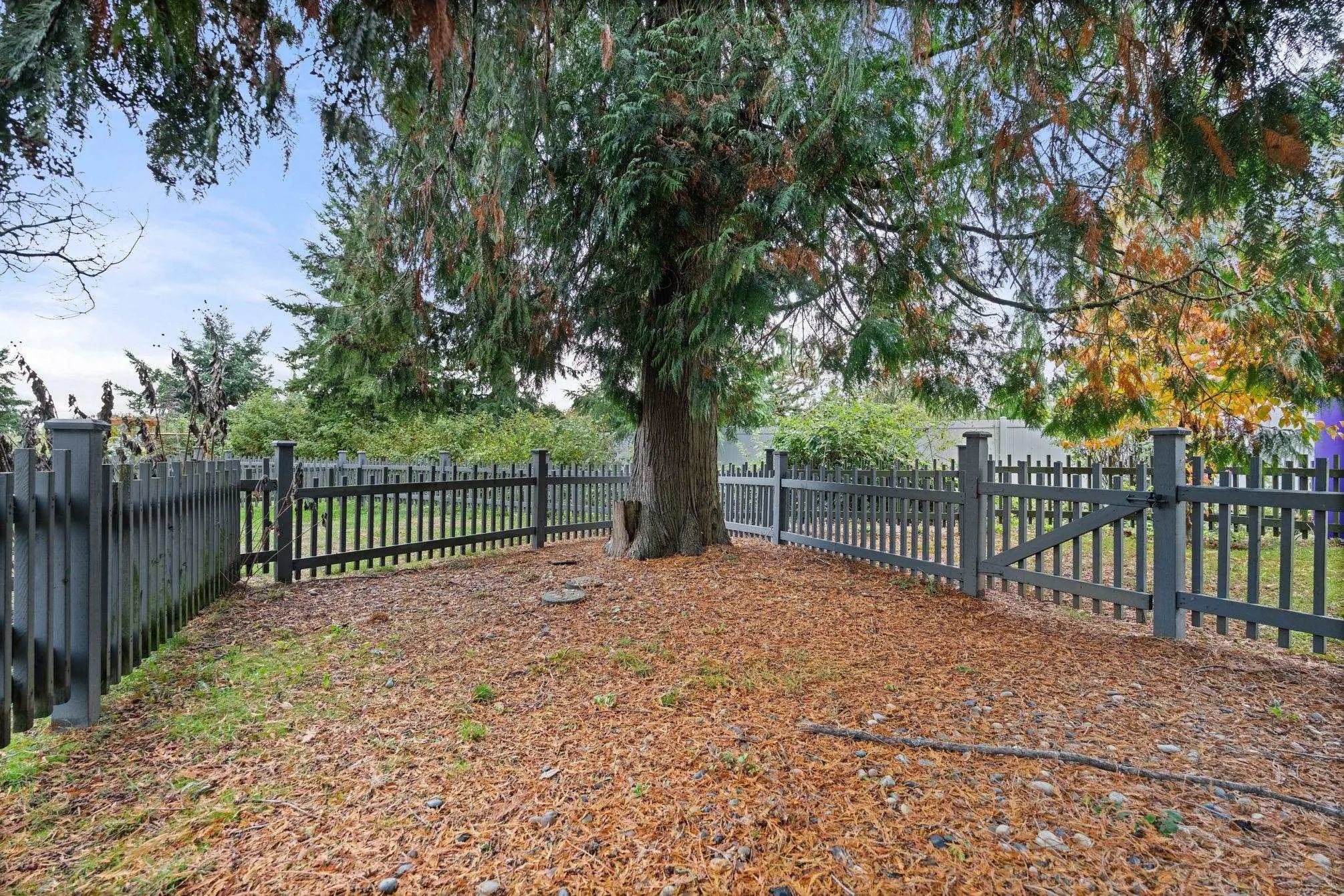 14 10415 Delsom Crescent