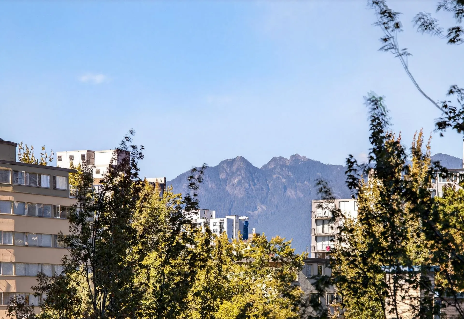 804 1330 Harwood Street