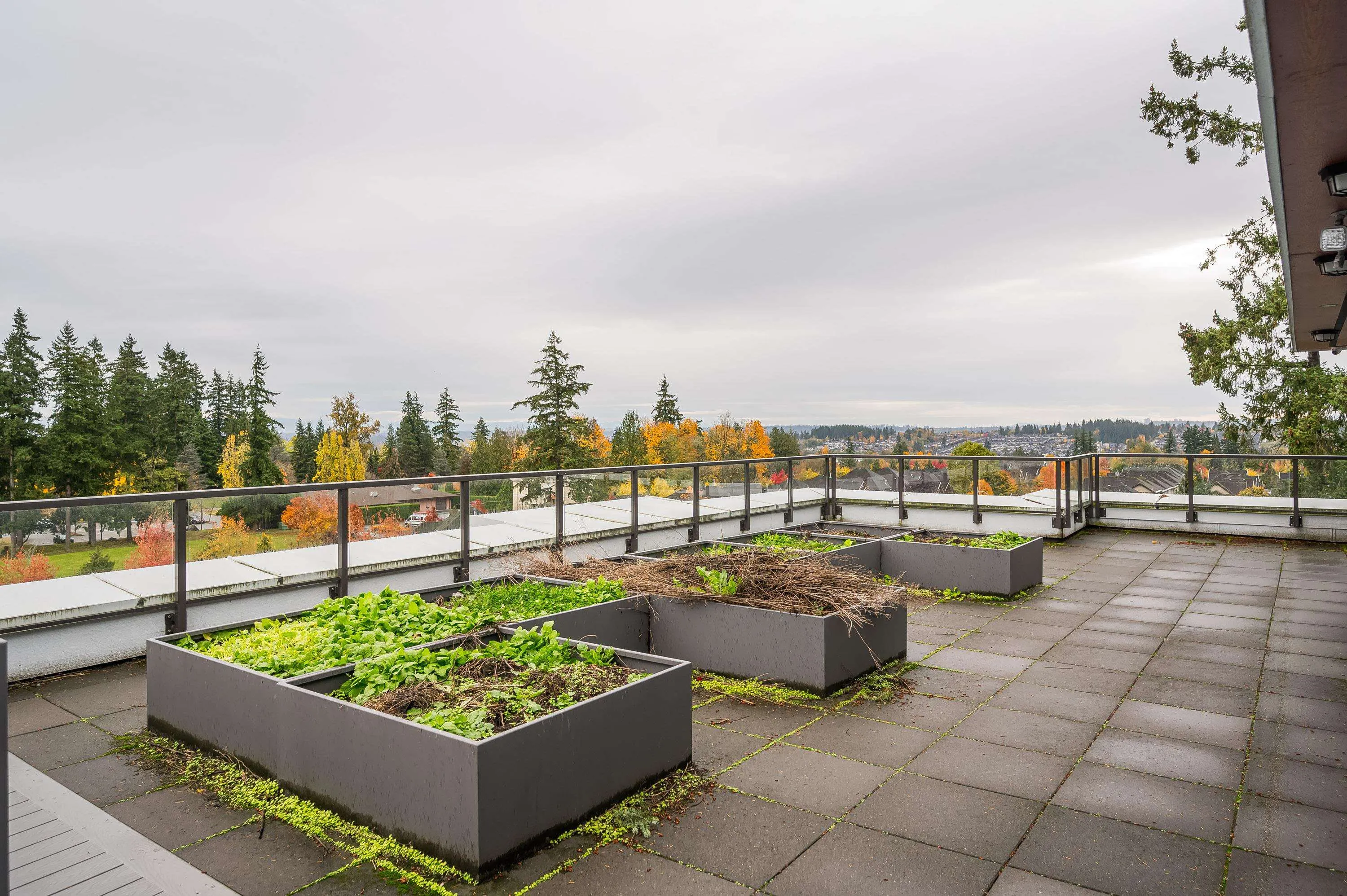 A503 14468 72 Avenue