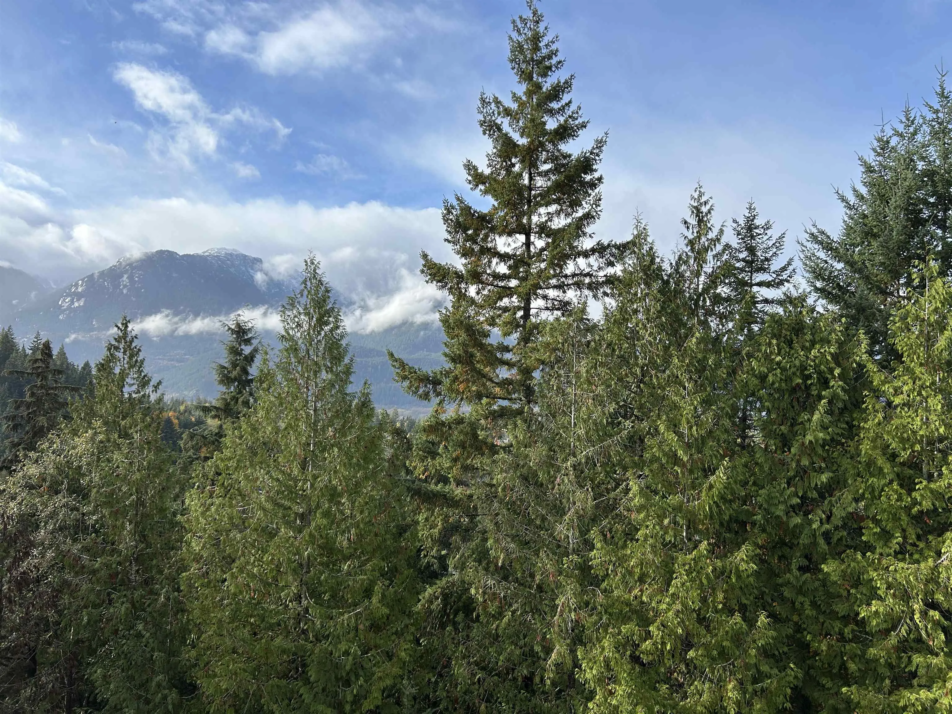 19 1026 Glacier View Drive