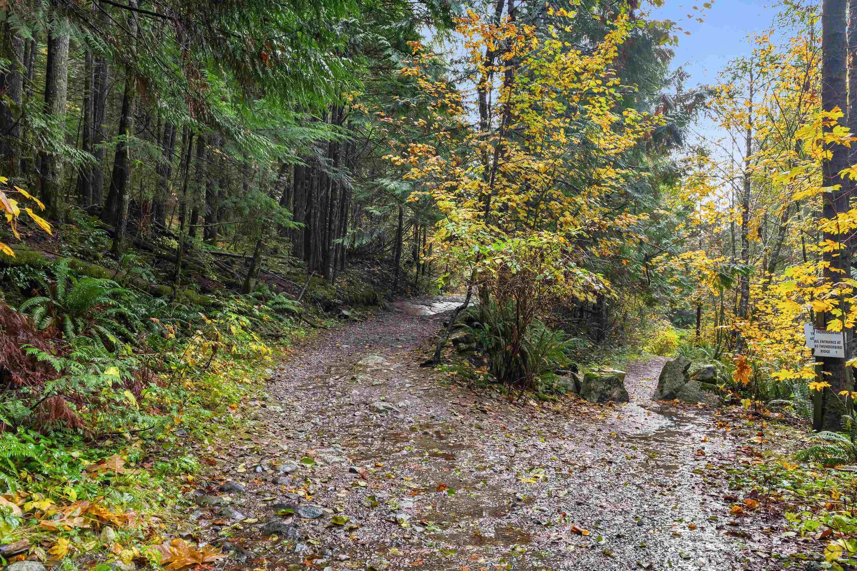 19 1026 Glacier View Drive