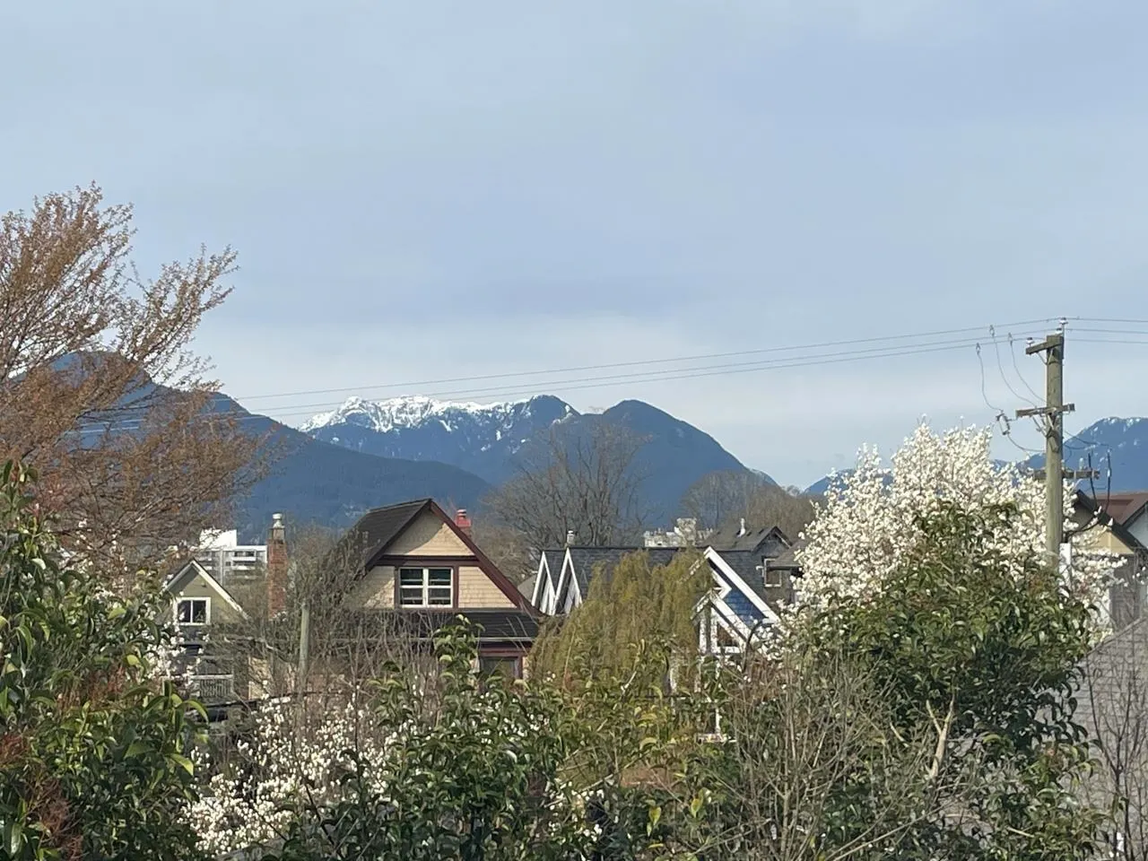 403 1617 Grant Street