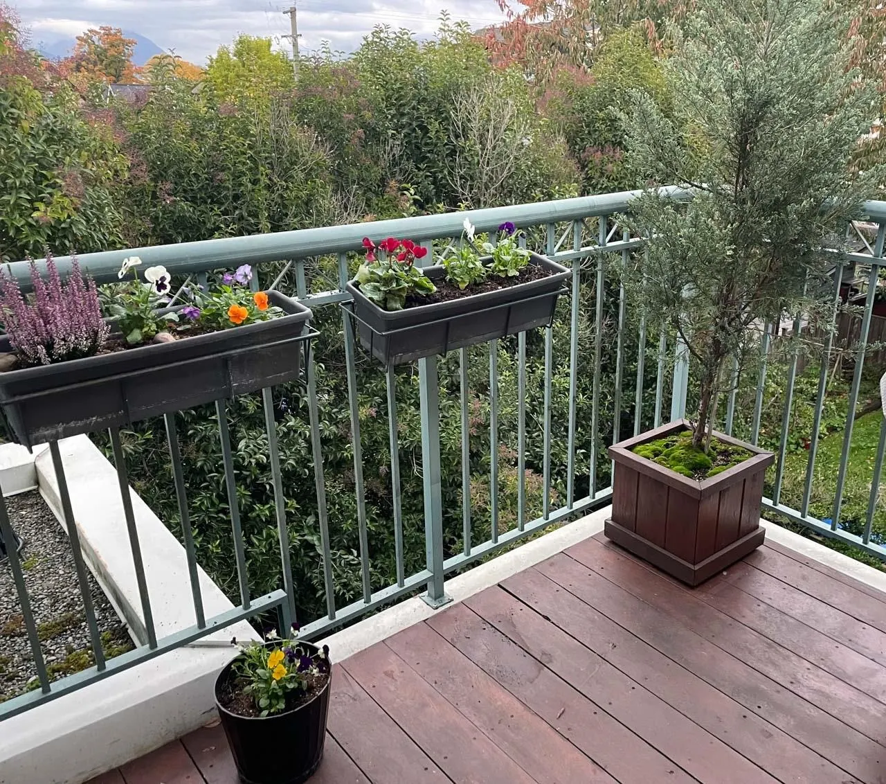 403 1617 Grant Street