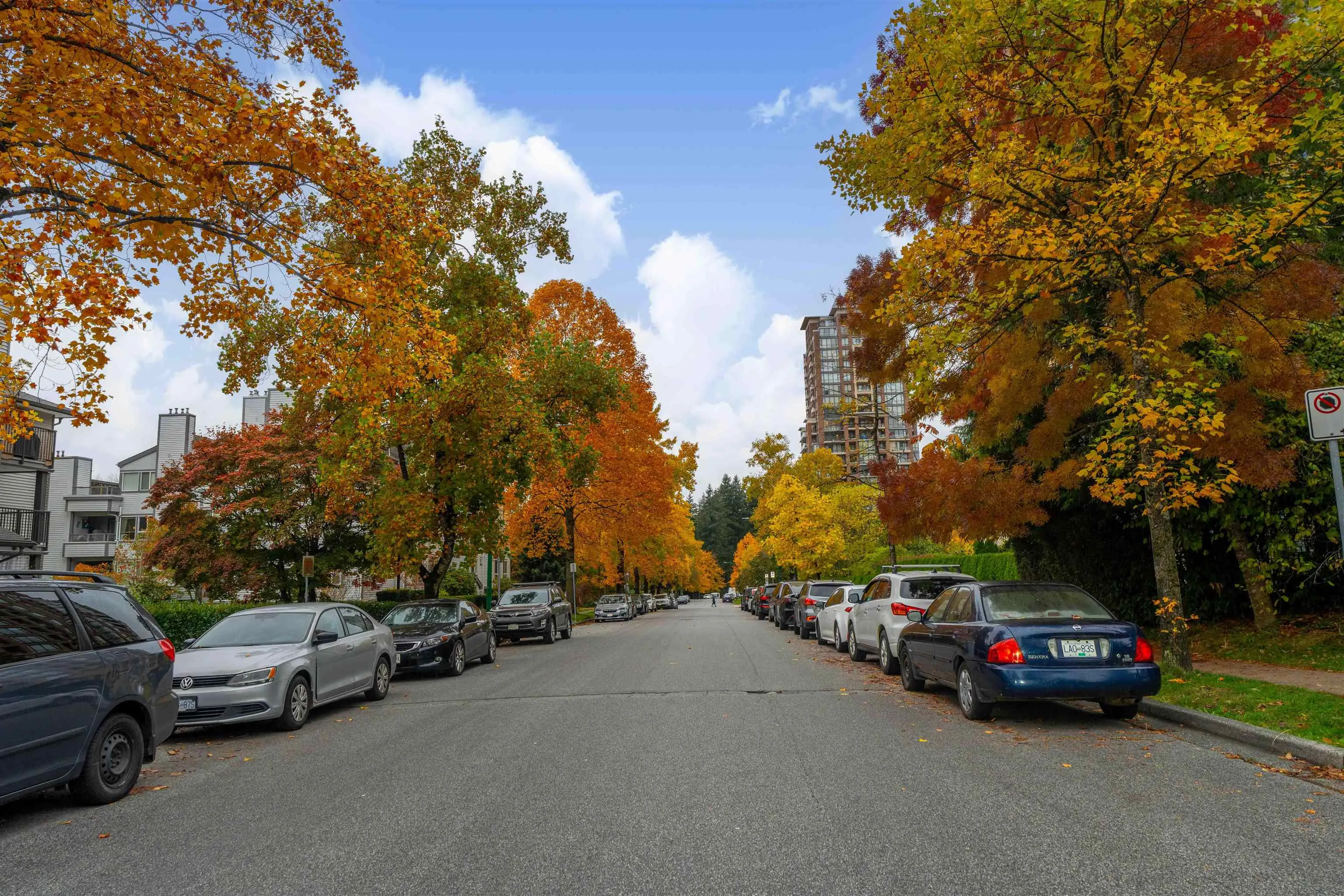 310 6742 Station Hill Court