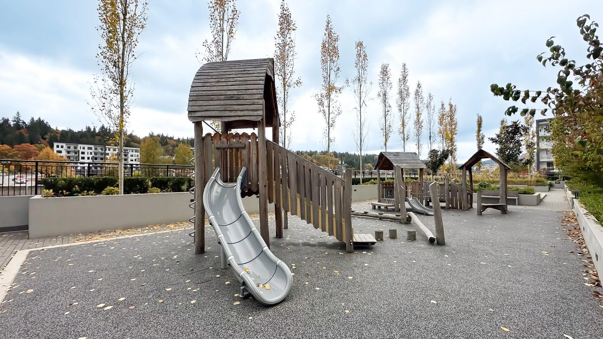 225 3131 Murray Street