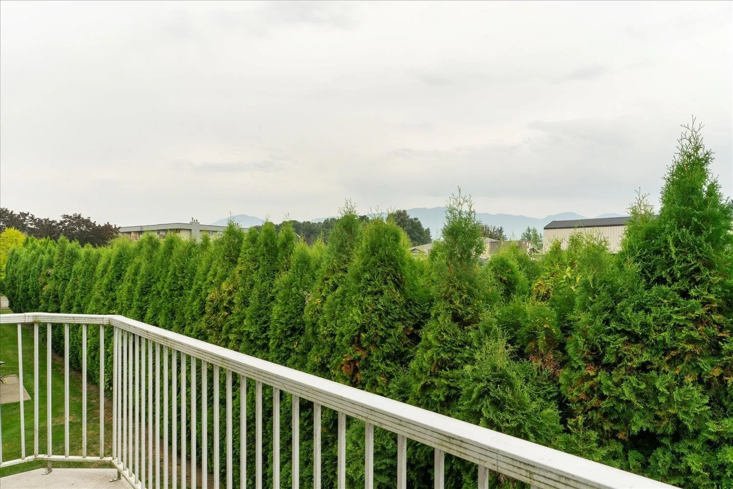 207 45669 Mcintosh Drive