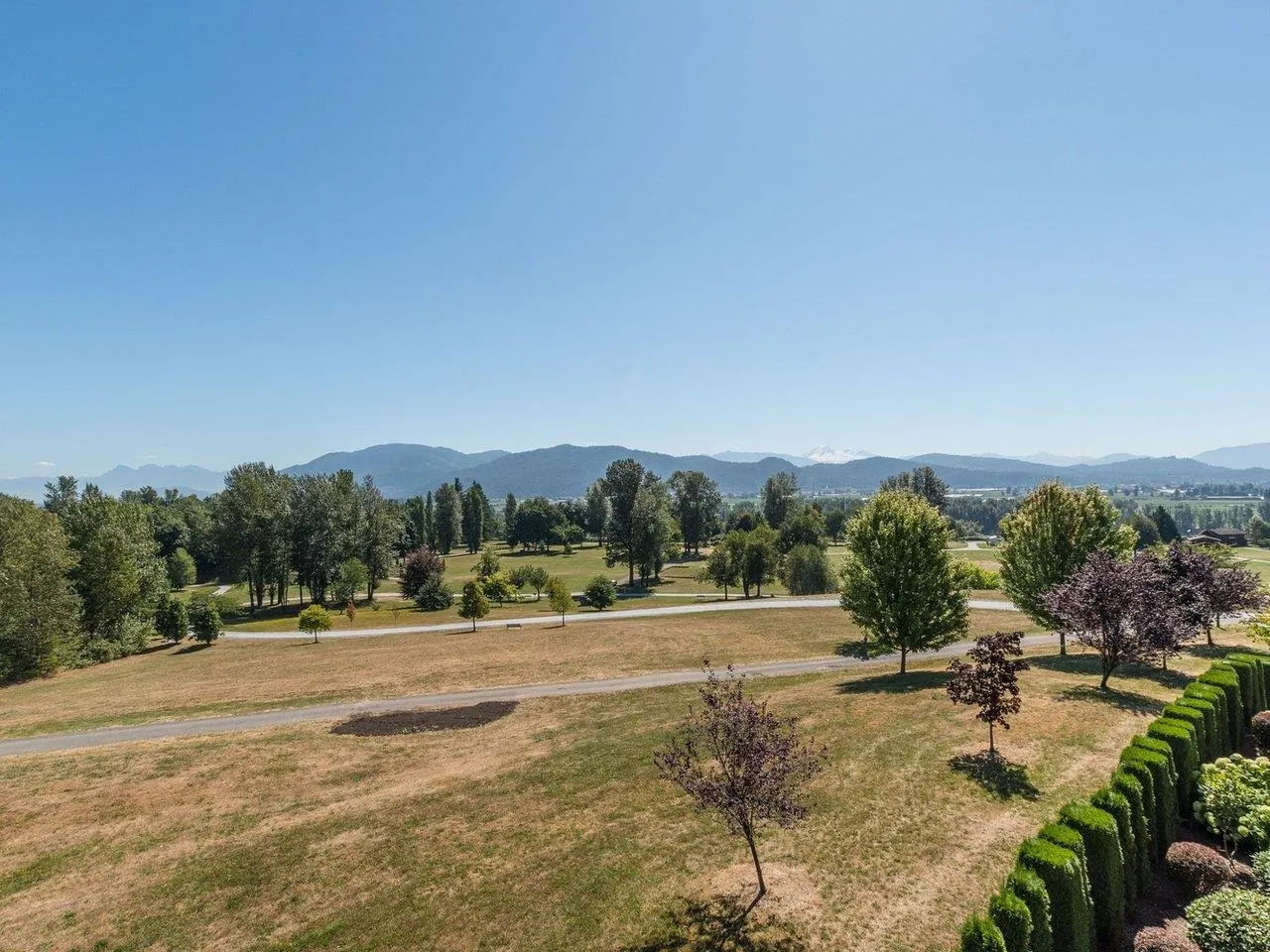 307 33755 7th Avenue