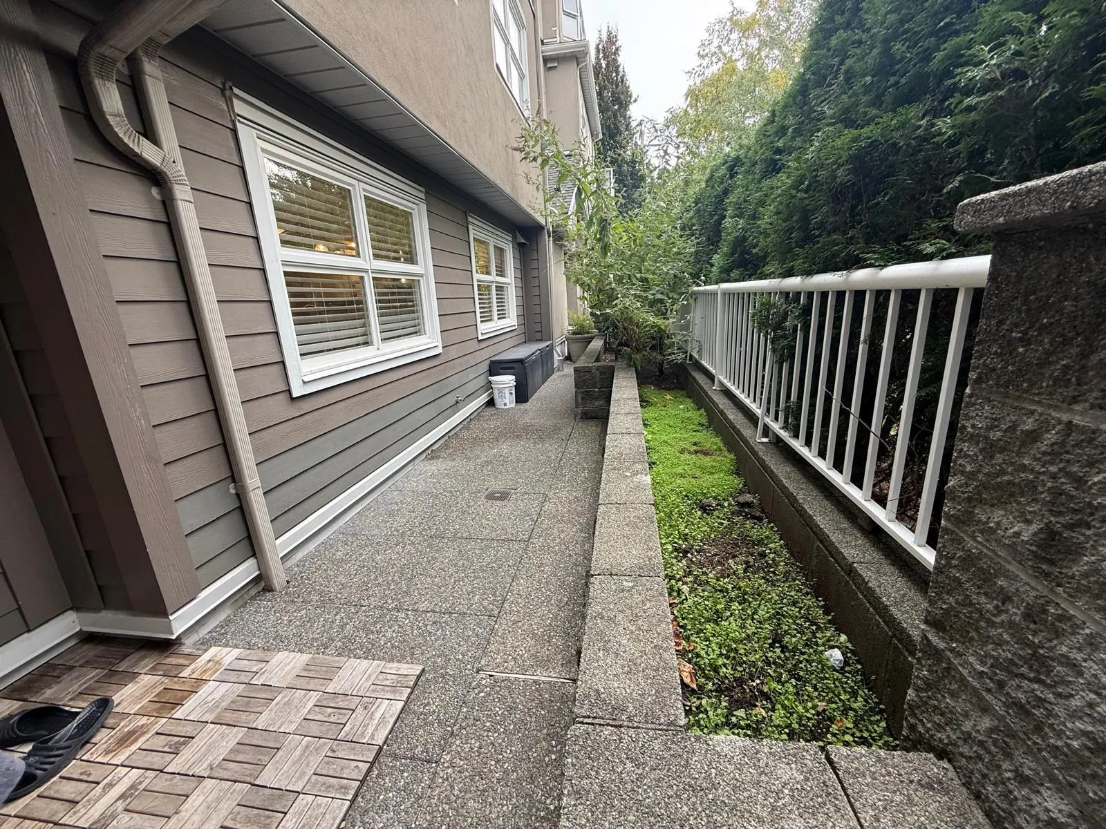 102 3008 Willow Street