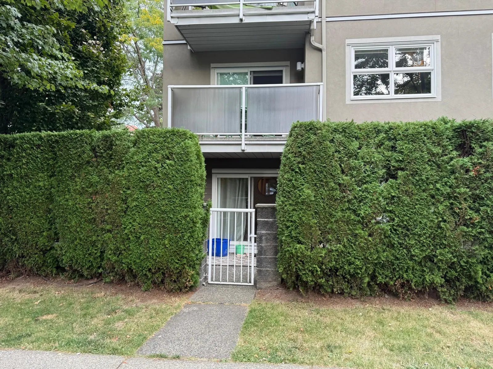 102 3008 Willow Street