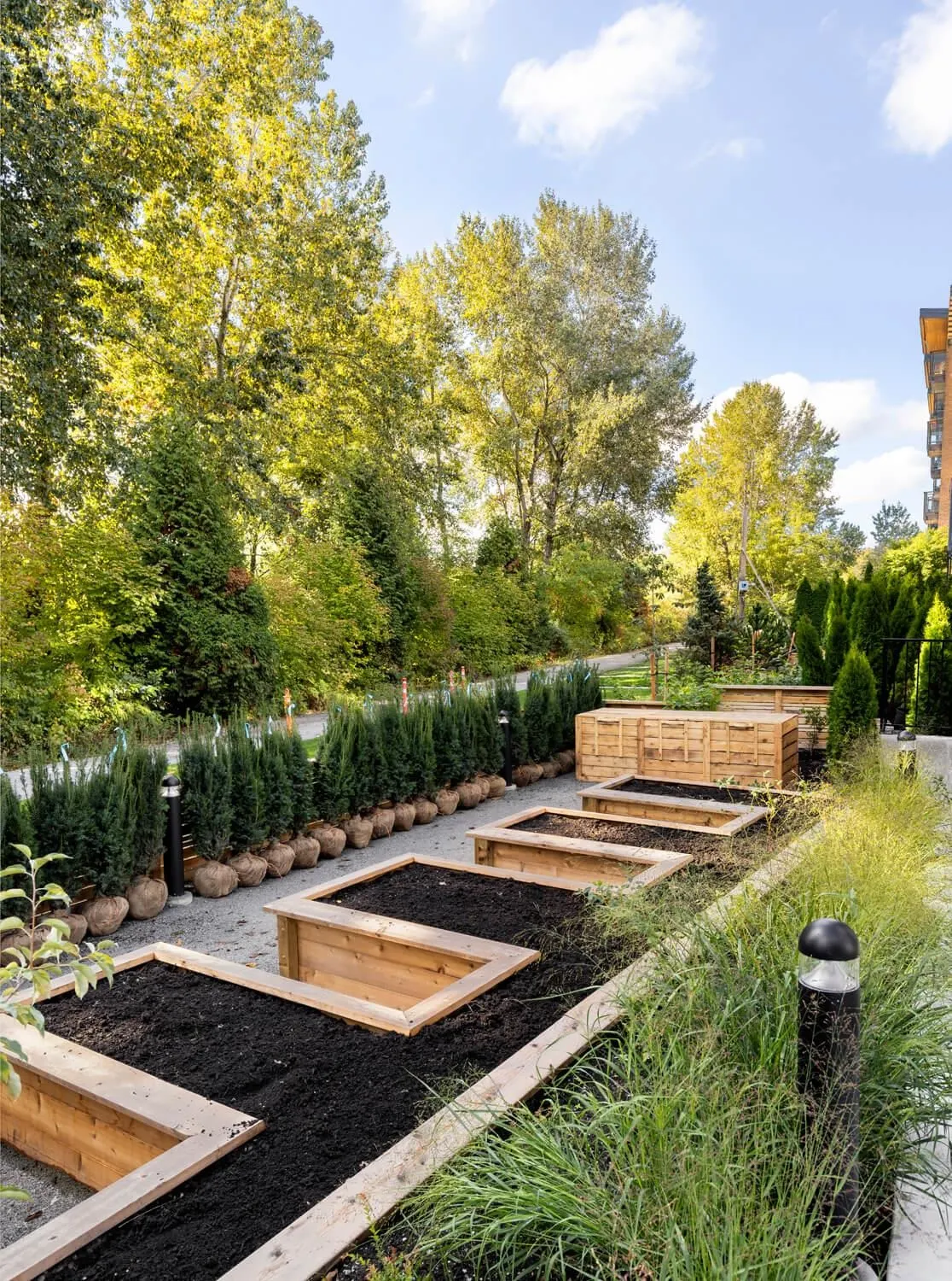 203 310 Salter Street