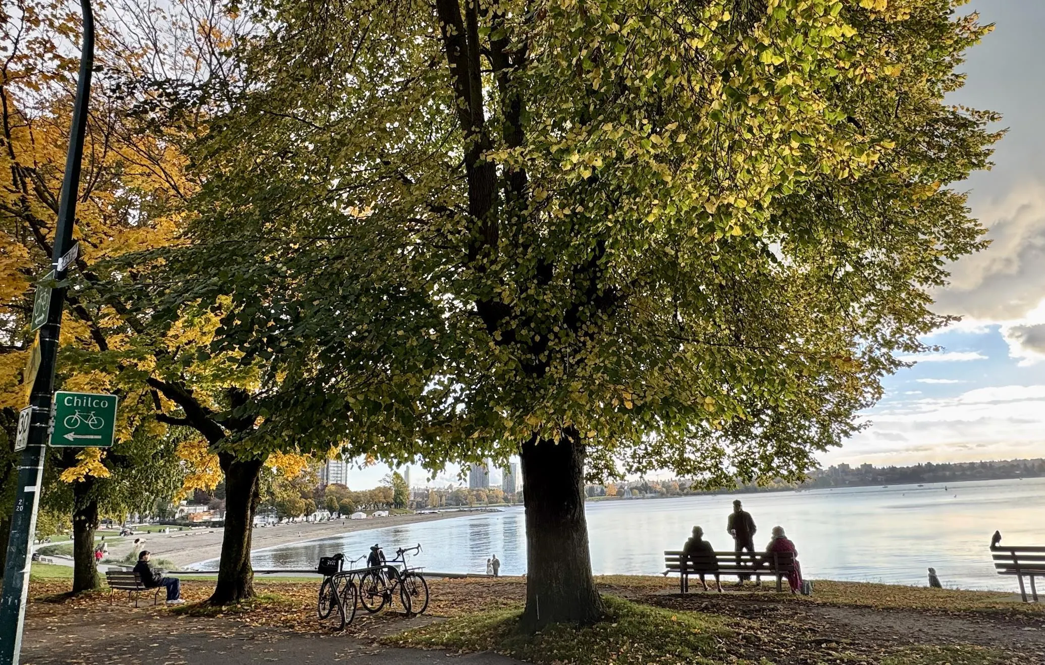 403 1010 Chilco Street