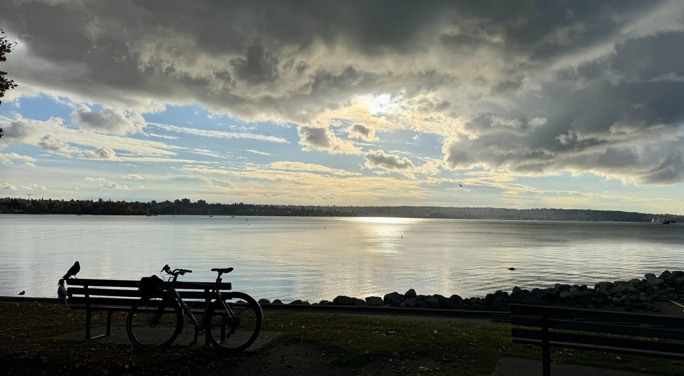 403 1010 Chilco Street