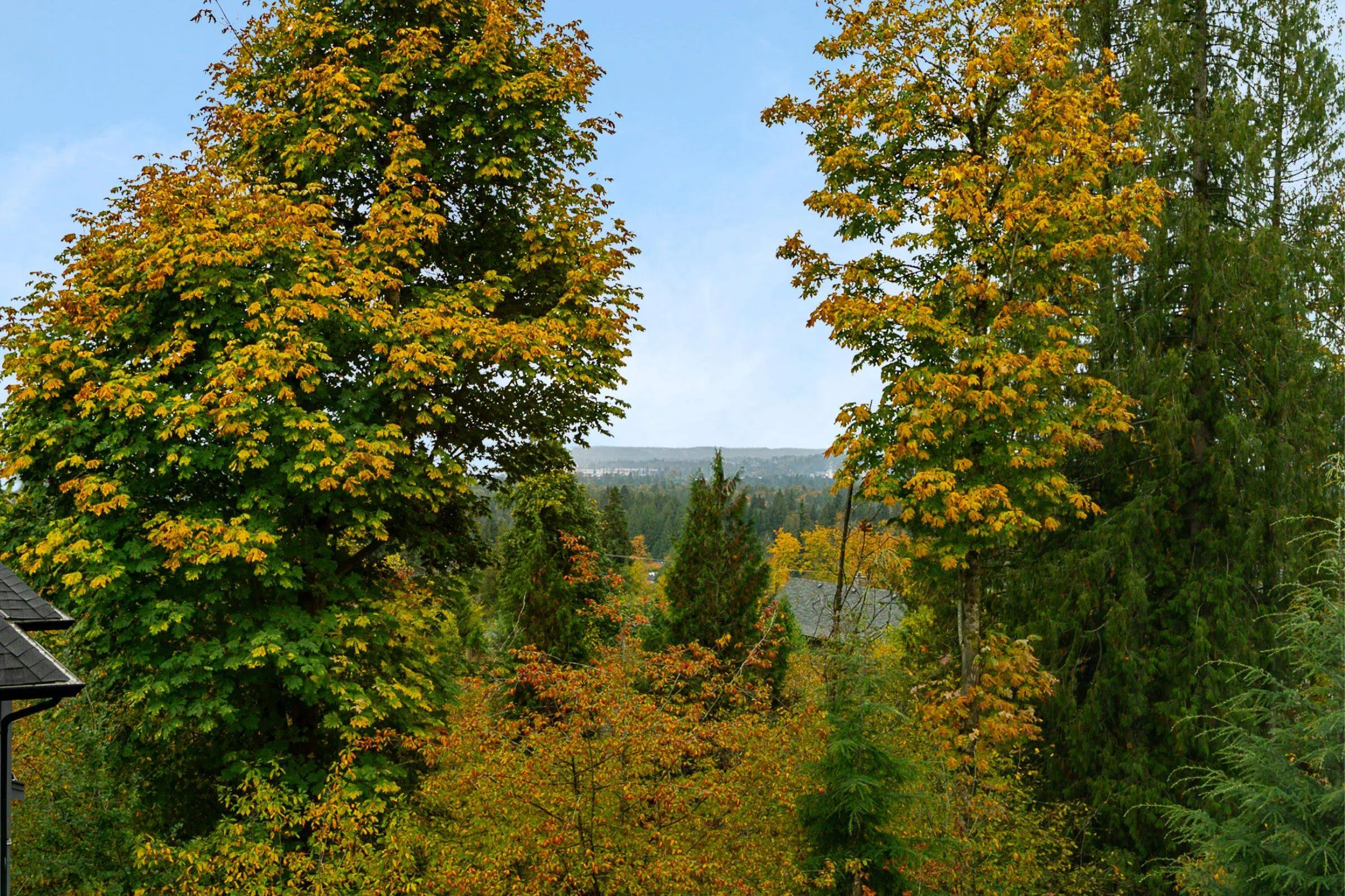 1 3500 Burke Village Promenade