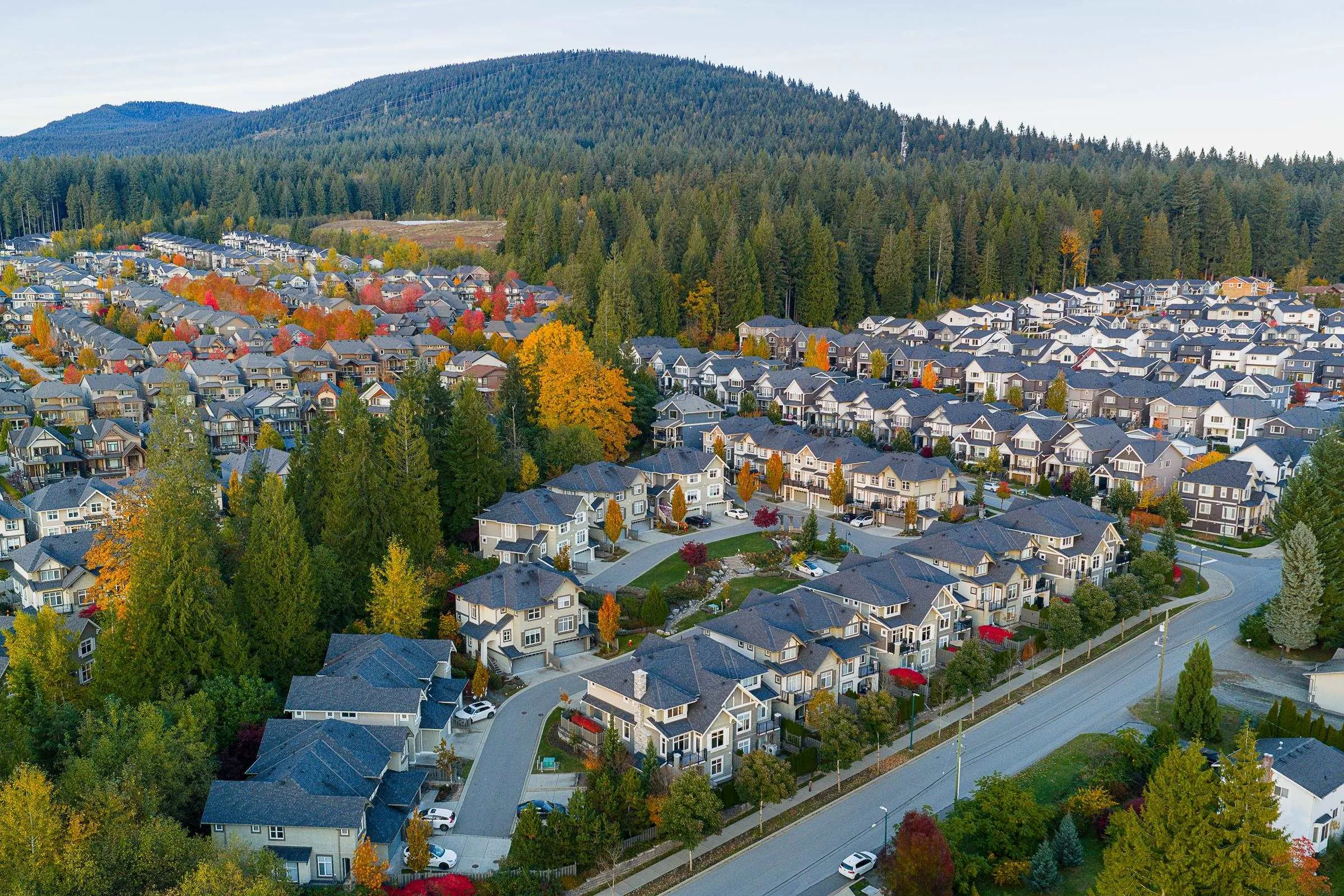 86 1430 Dayton Street