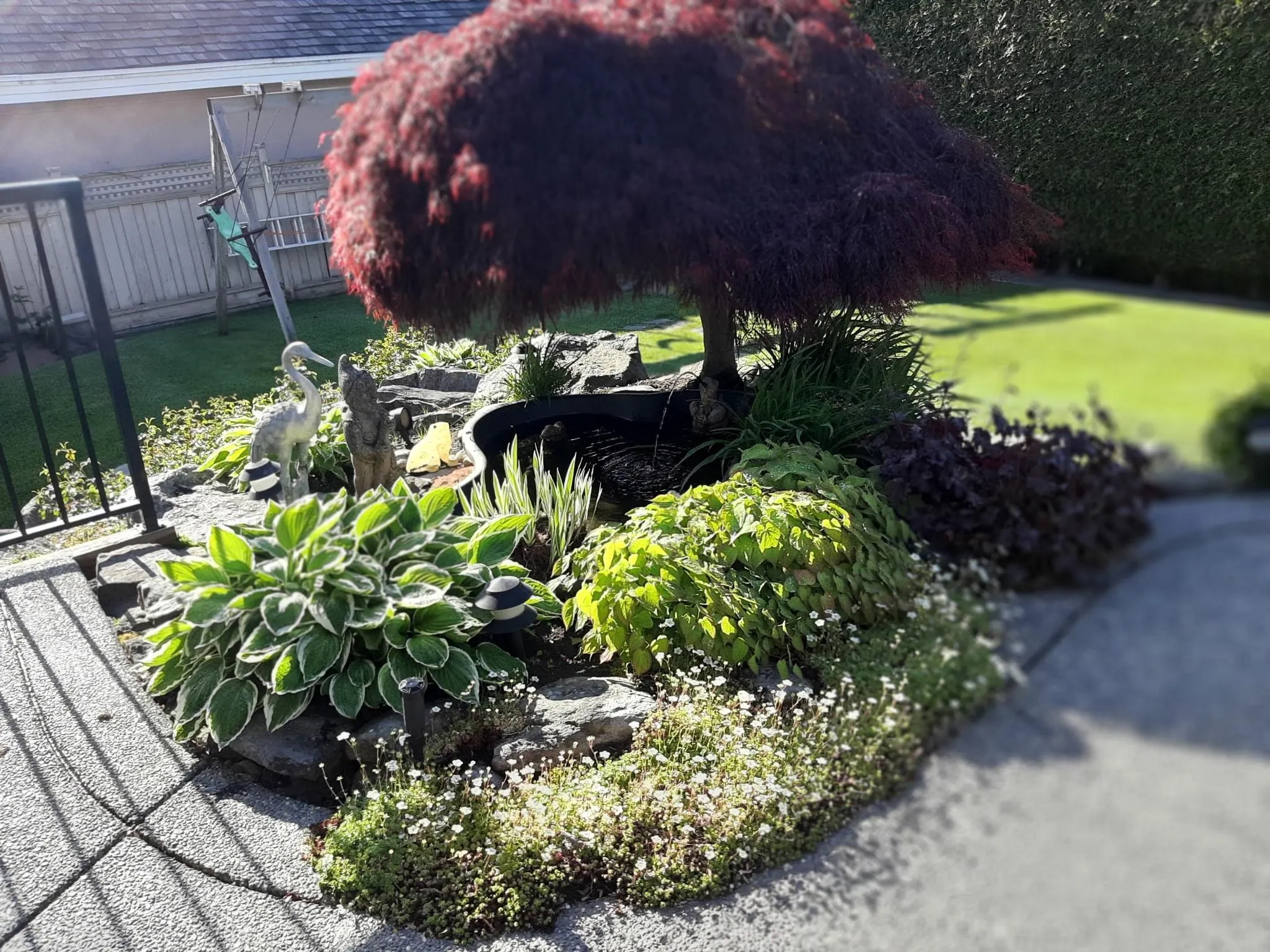 16221 Morgan Creek Crescent