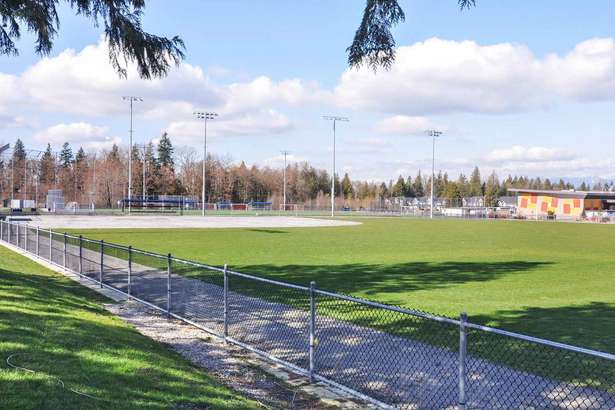 429 8288 207a Street