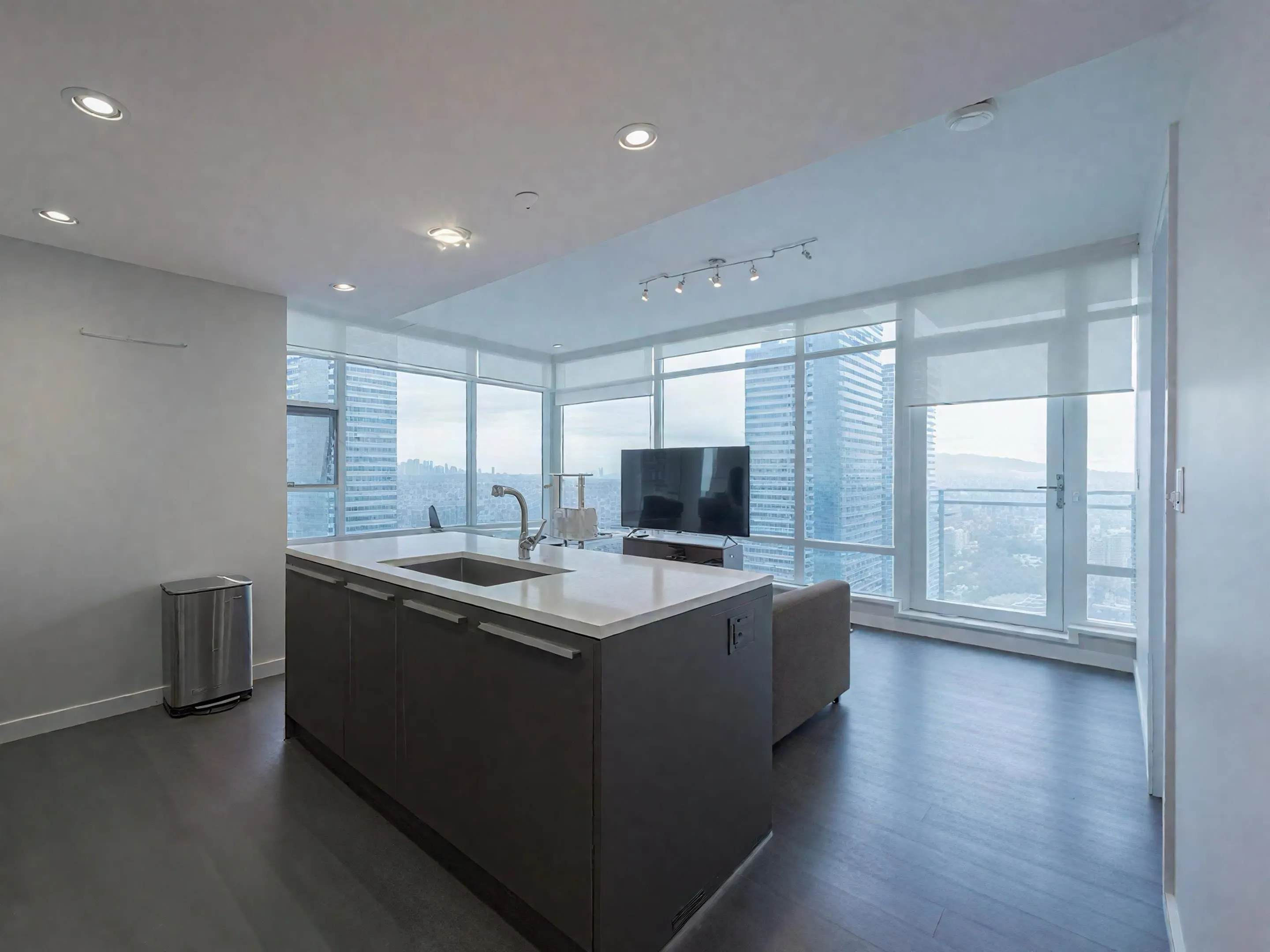 4205 4485 Skyline Drive