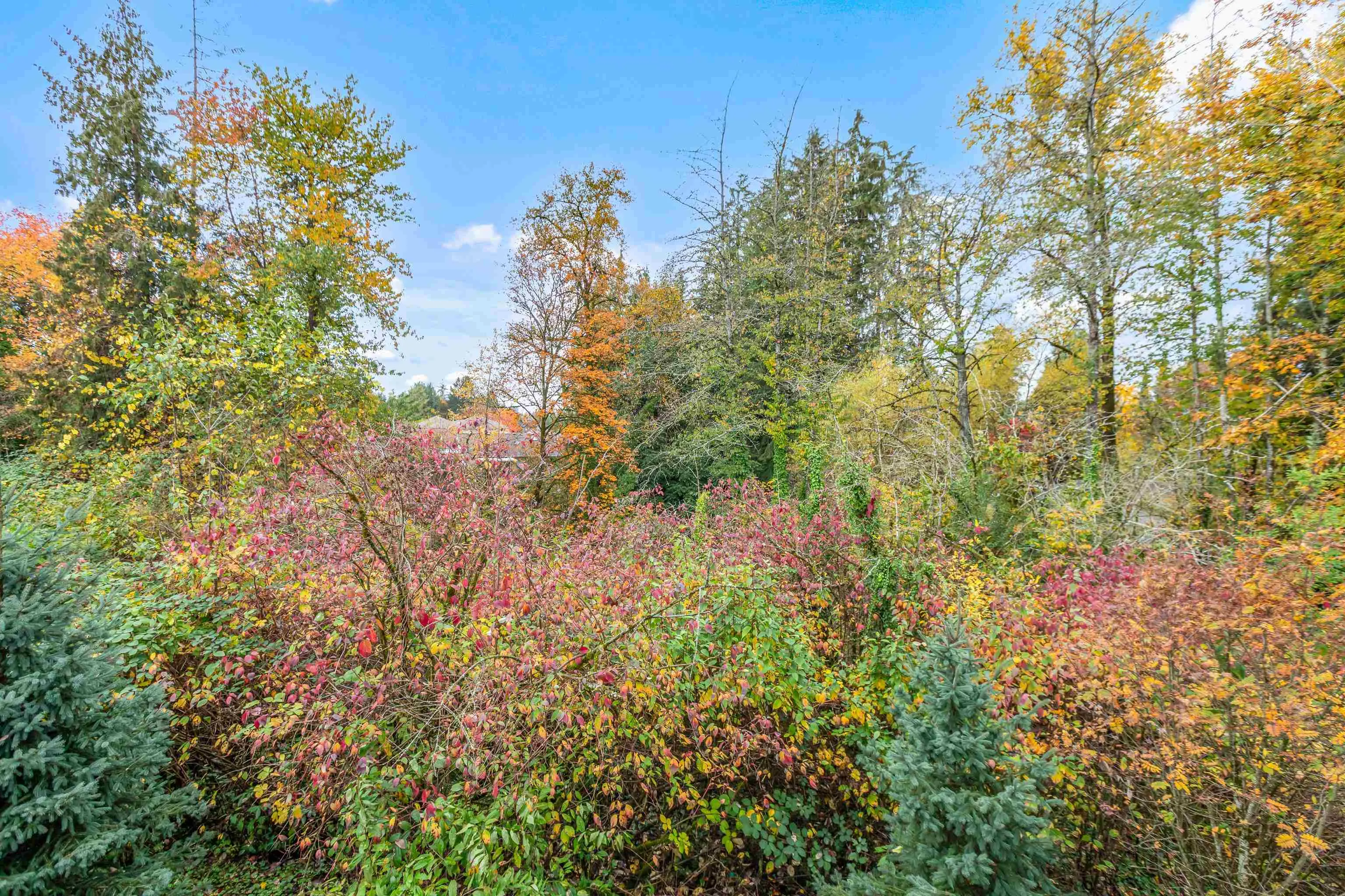 206 12367 224 Street