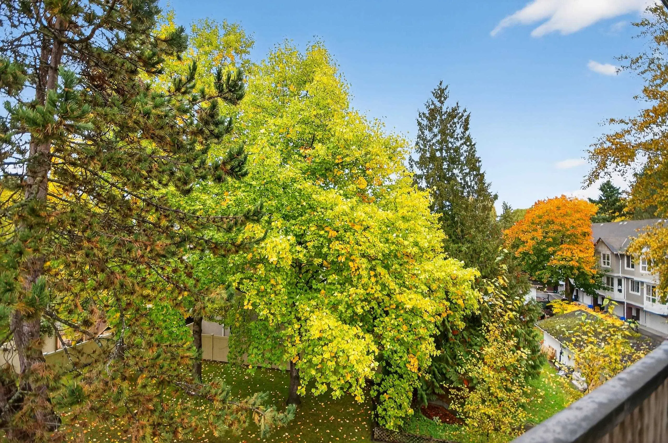 303 7457 Moffatt Road