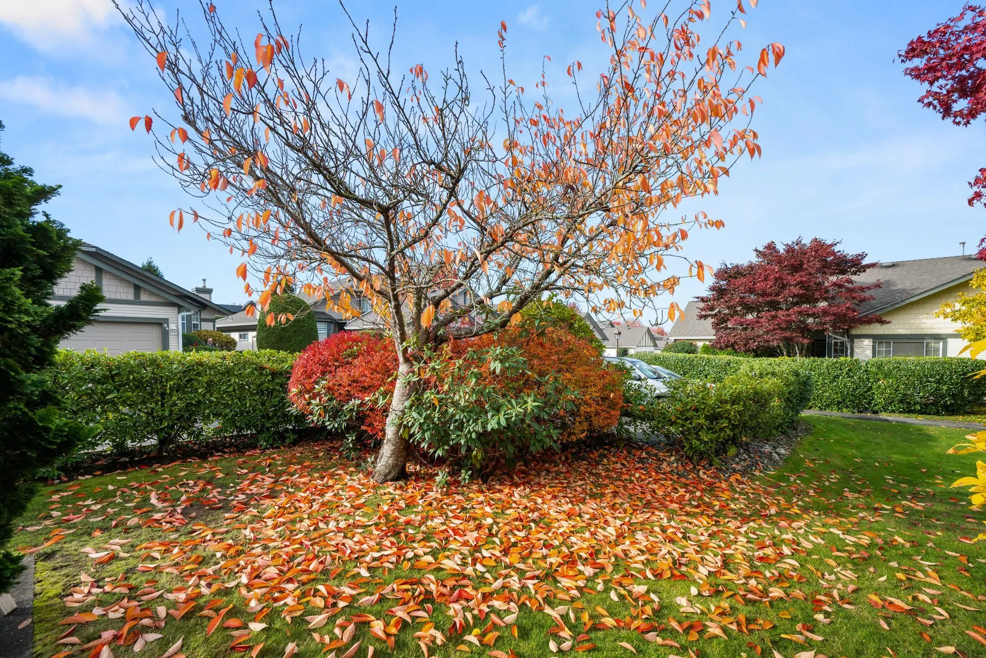 79 9012 Walnut Grove Drive