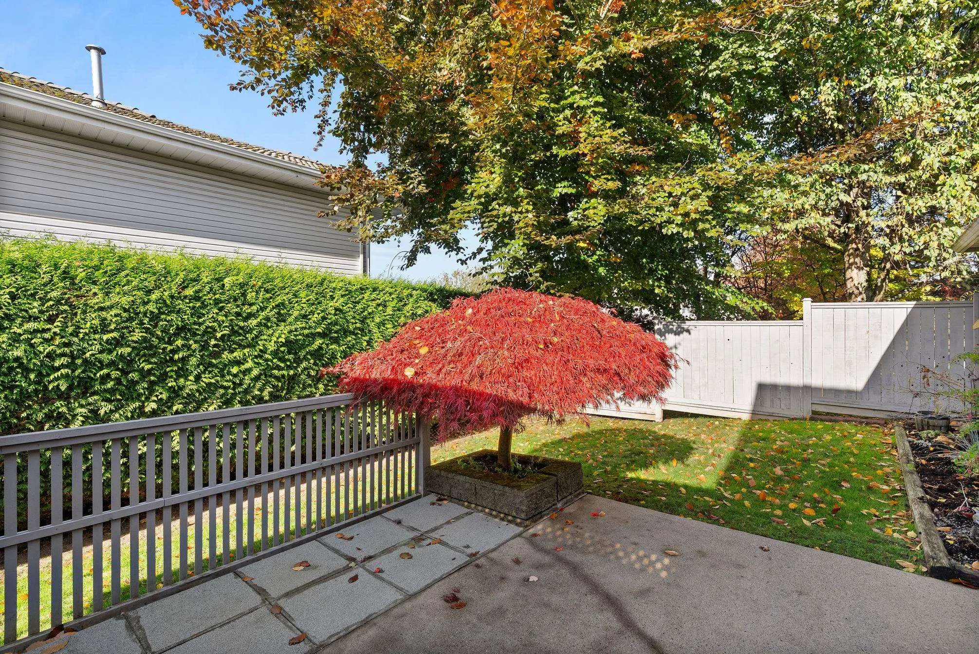 19 7127 124th Street