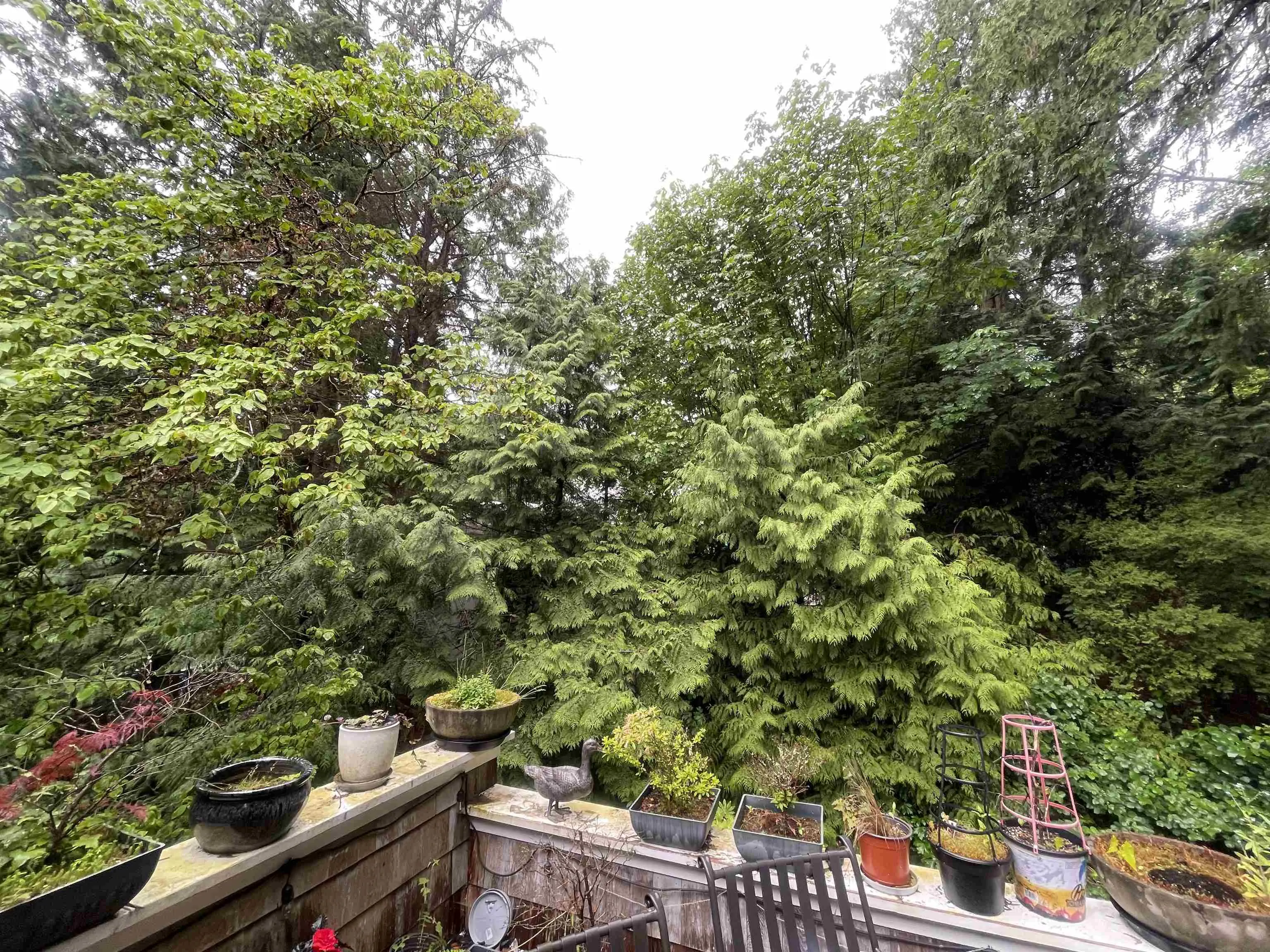 3937 Westridge Avenue