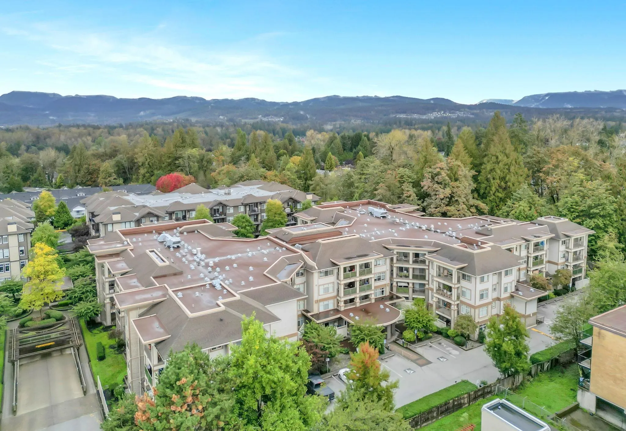 201 12248 224 Street