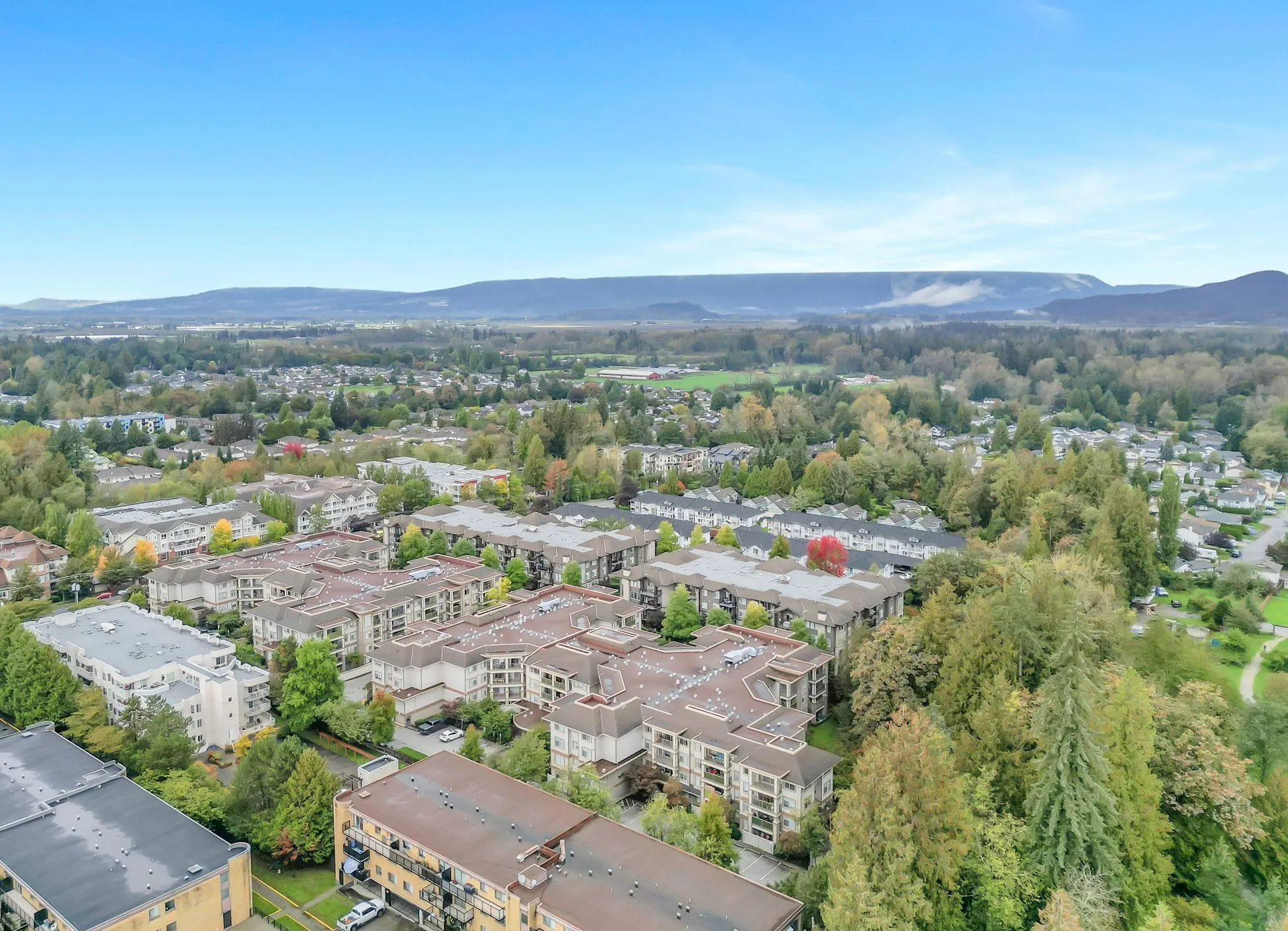 201 12248 224 Street