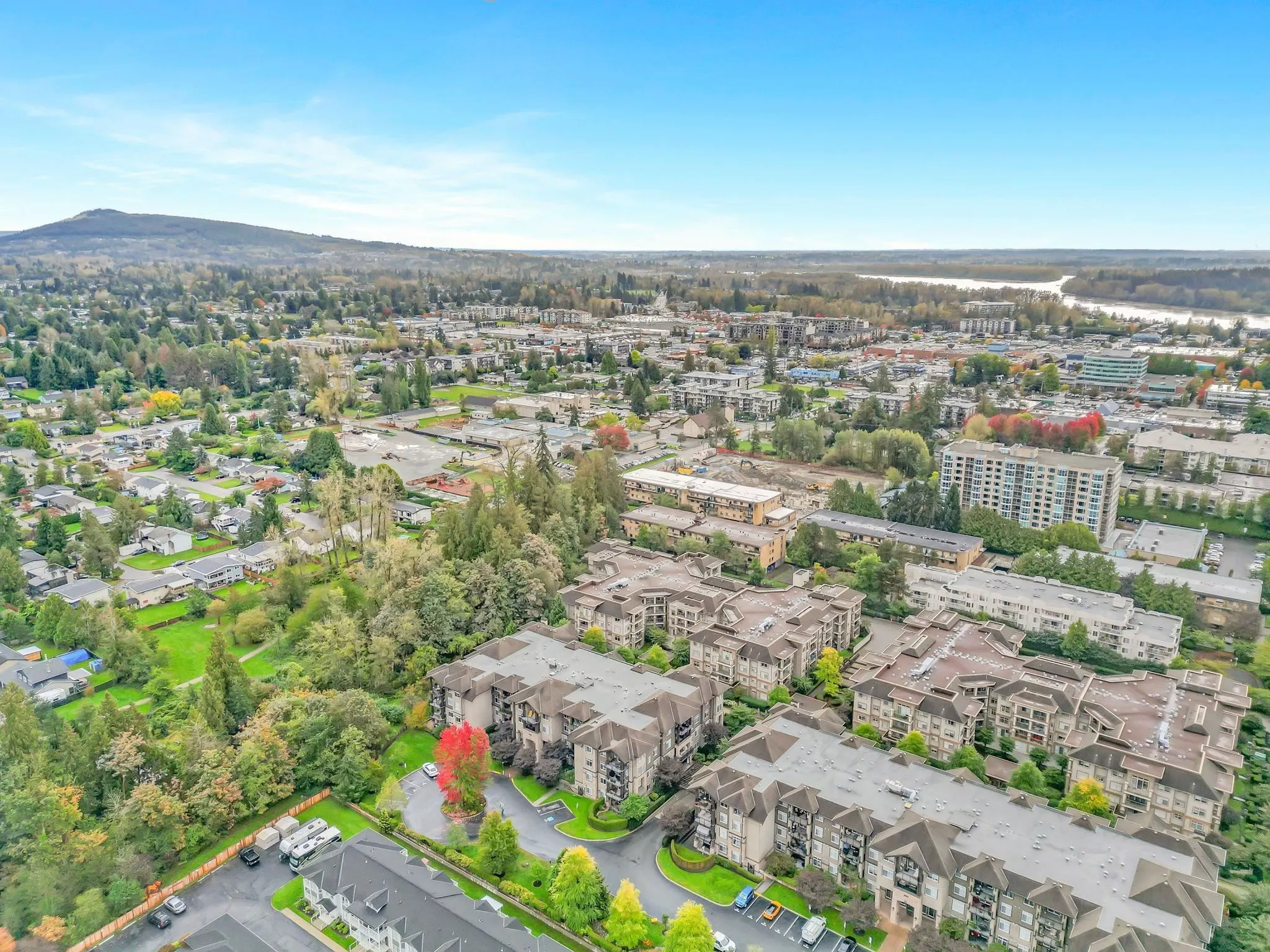 201 12248 224 Street