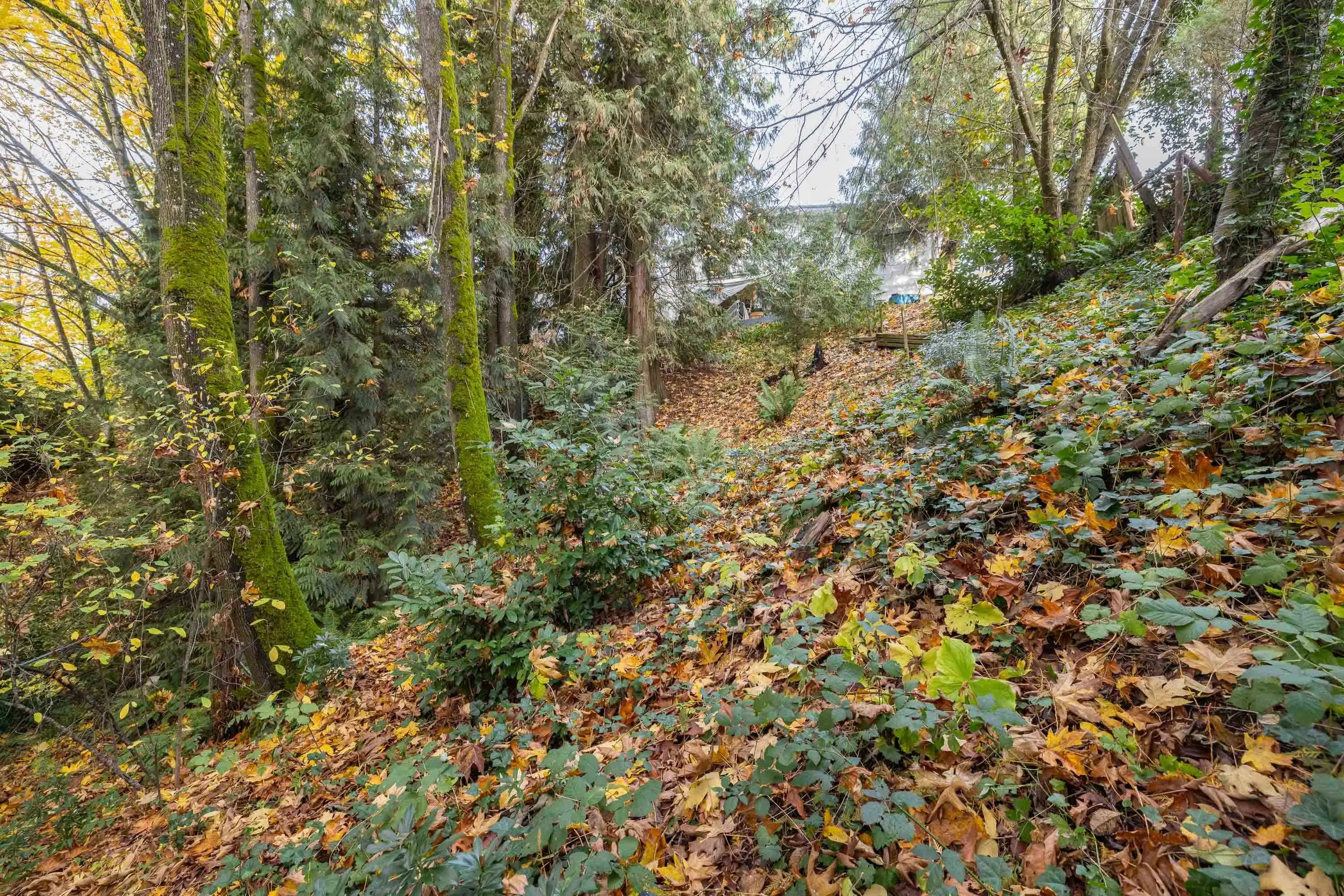 32410 Diamond Avenue