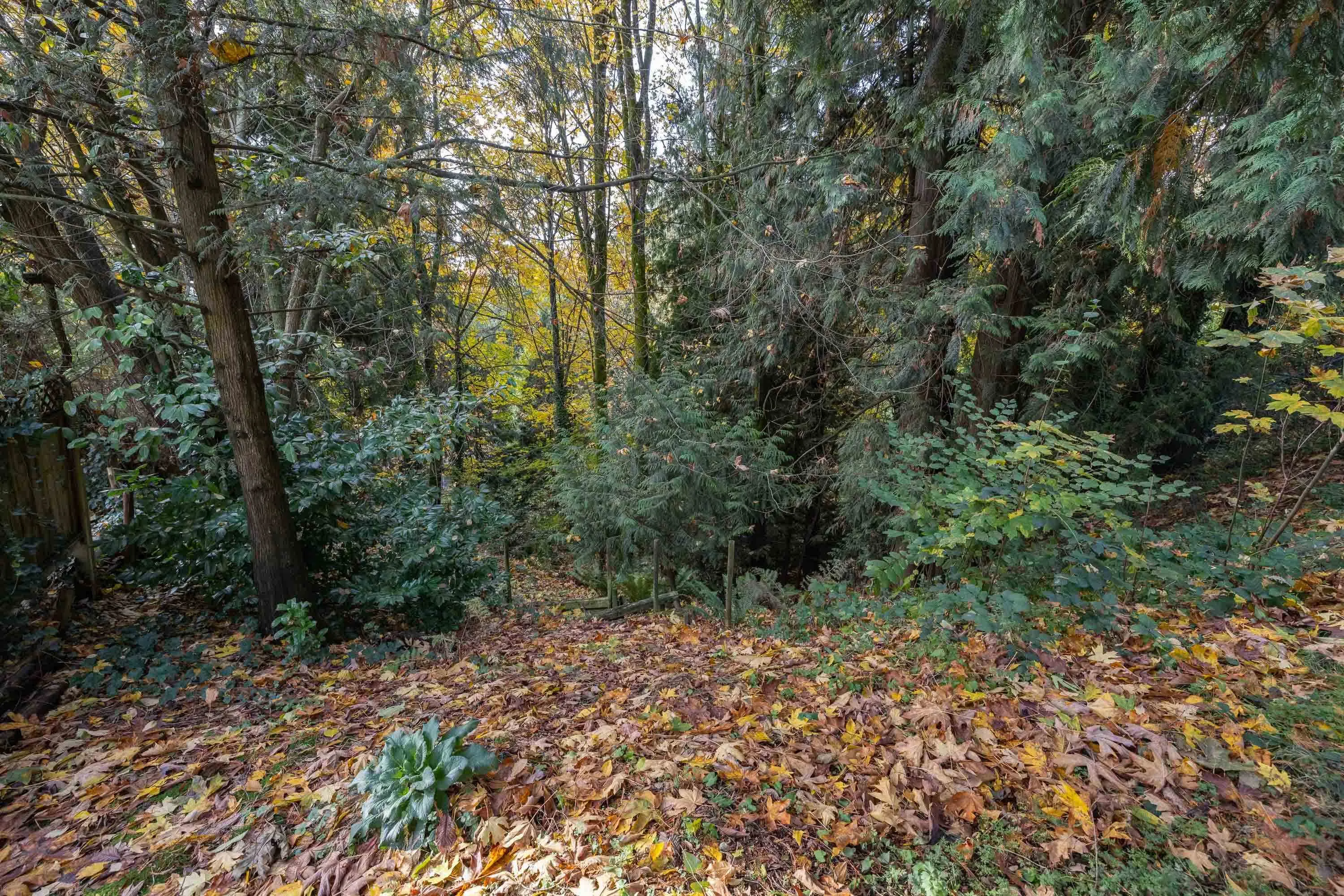 32410 Diamond Avenue