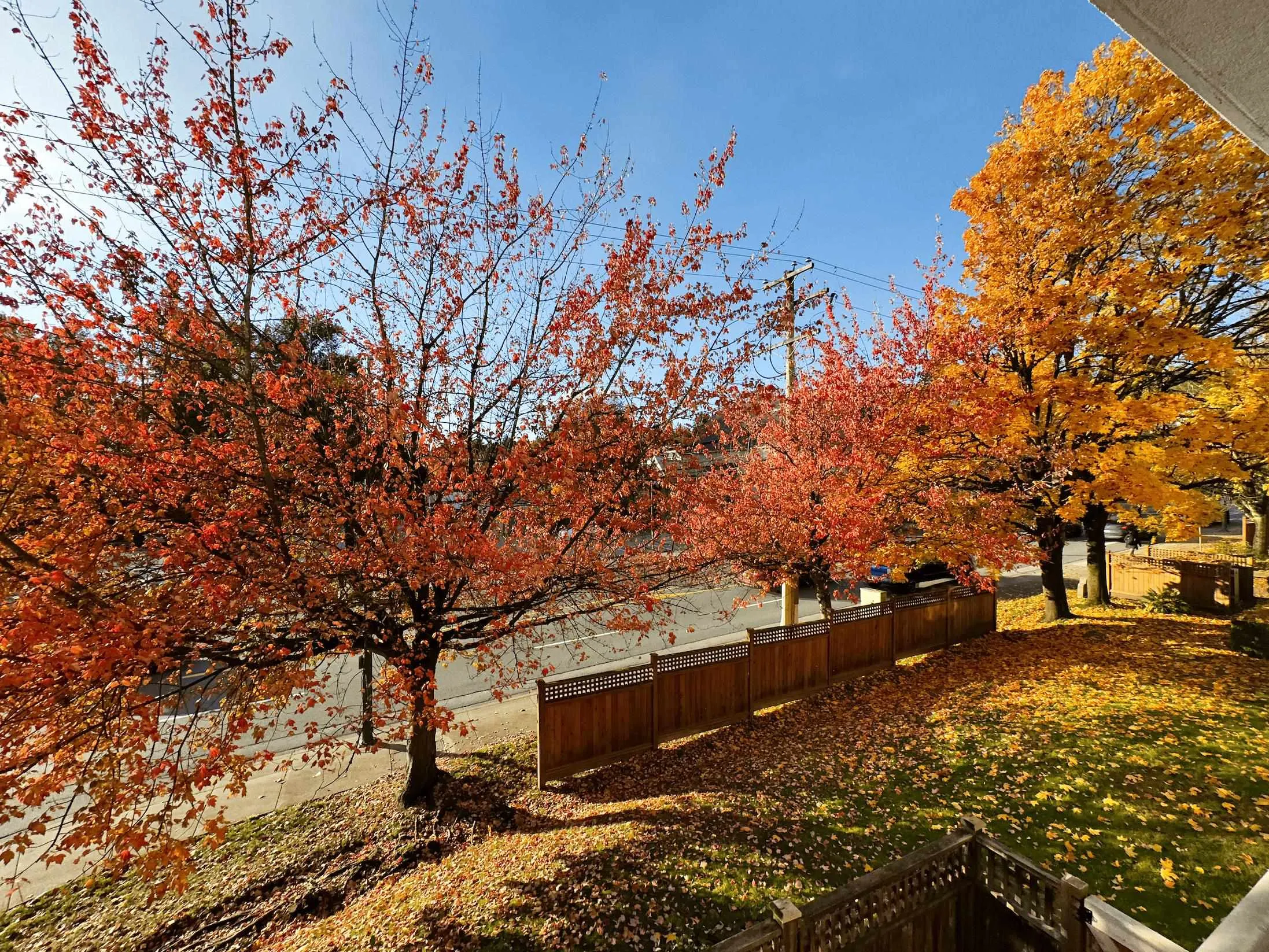 2xx 295 Schoolhouse Street