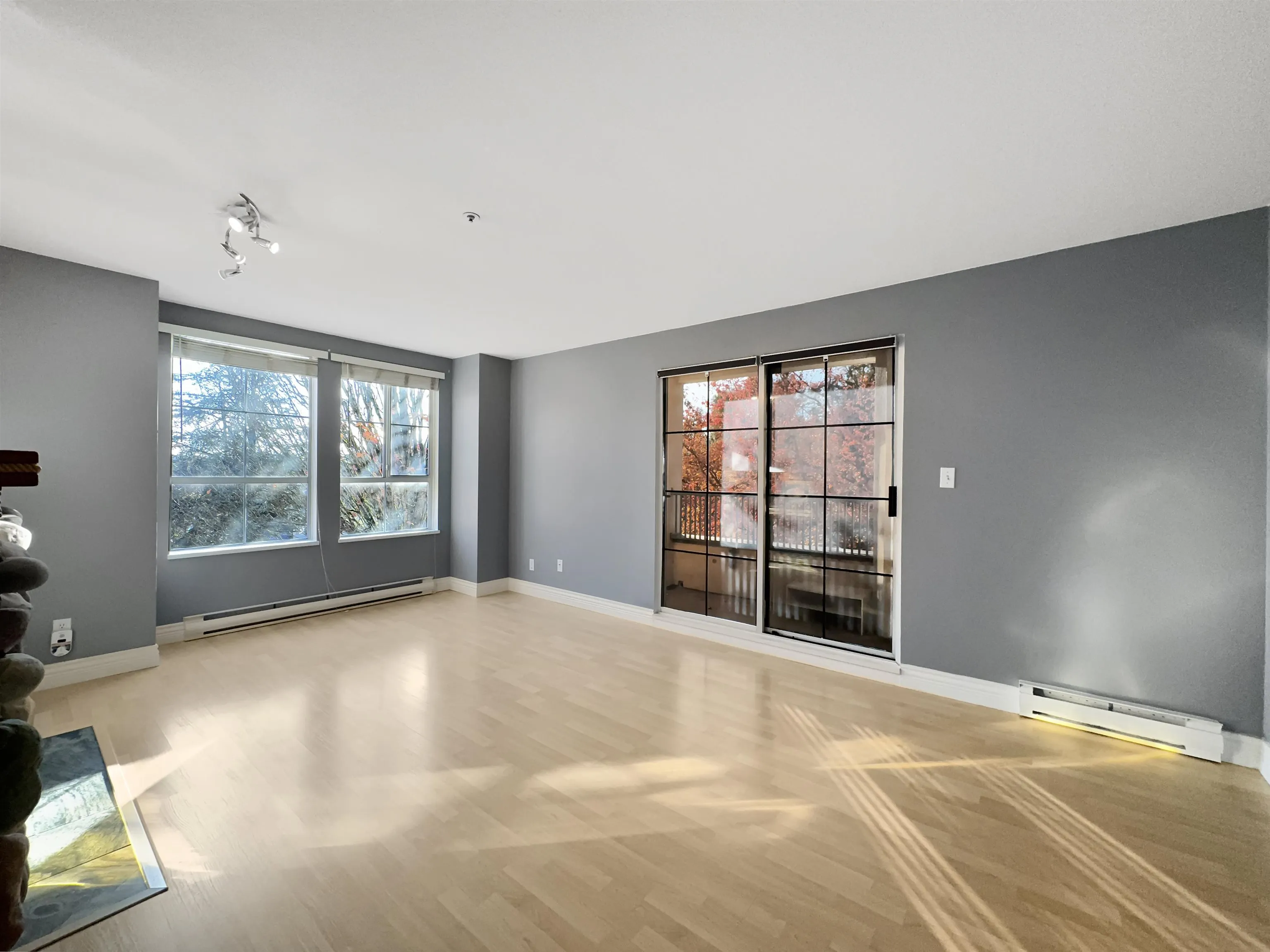 2xx 295 Schoolhouse Street