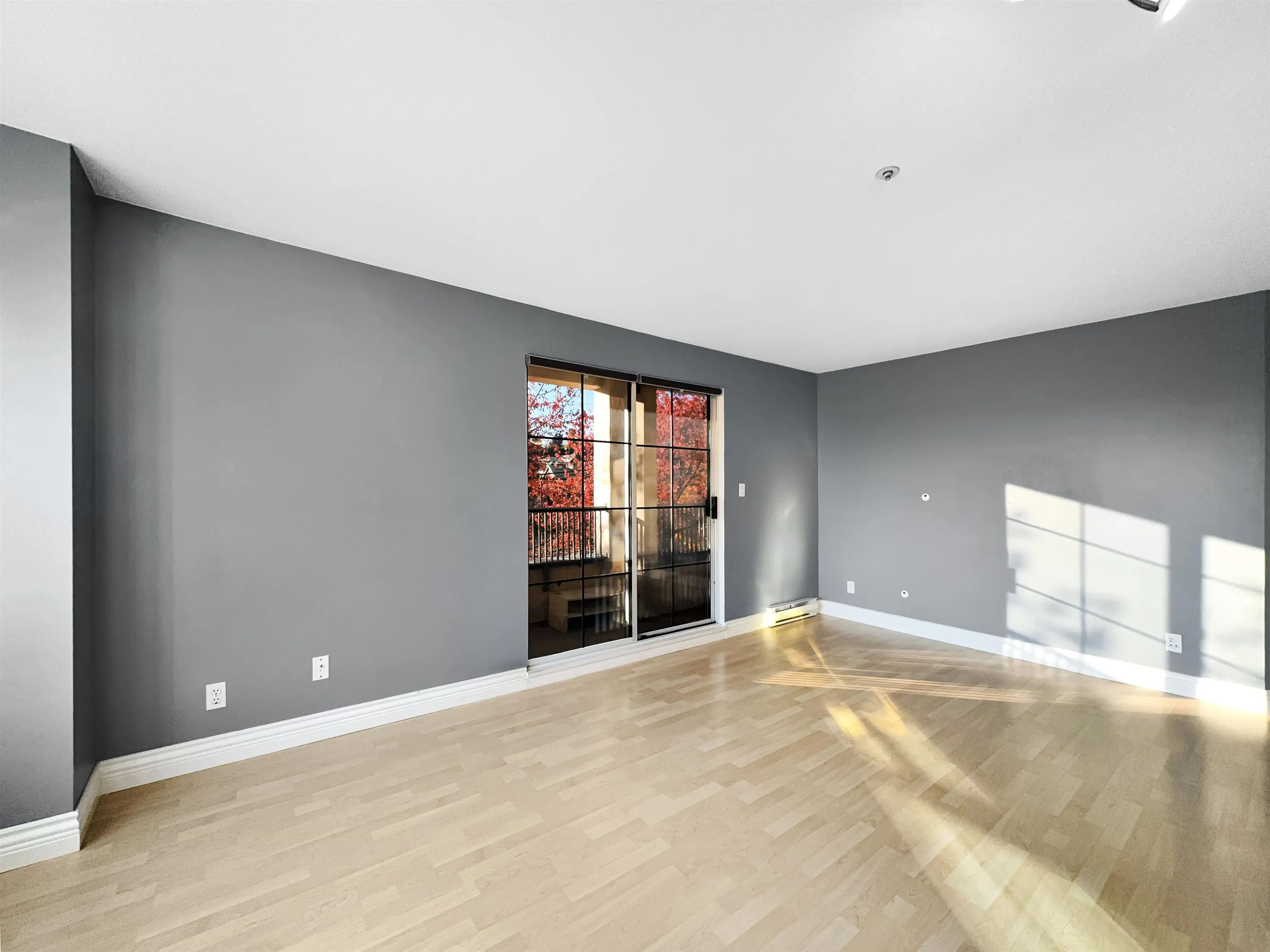 2xx 295 Schoolhouse Street