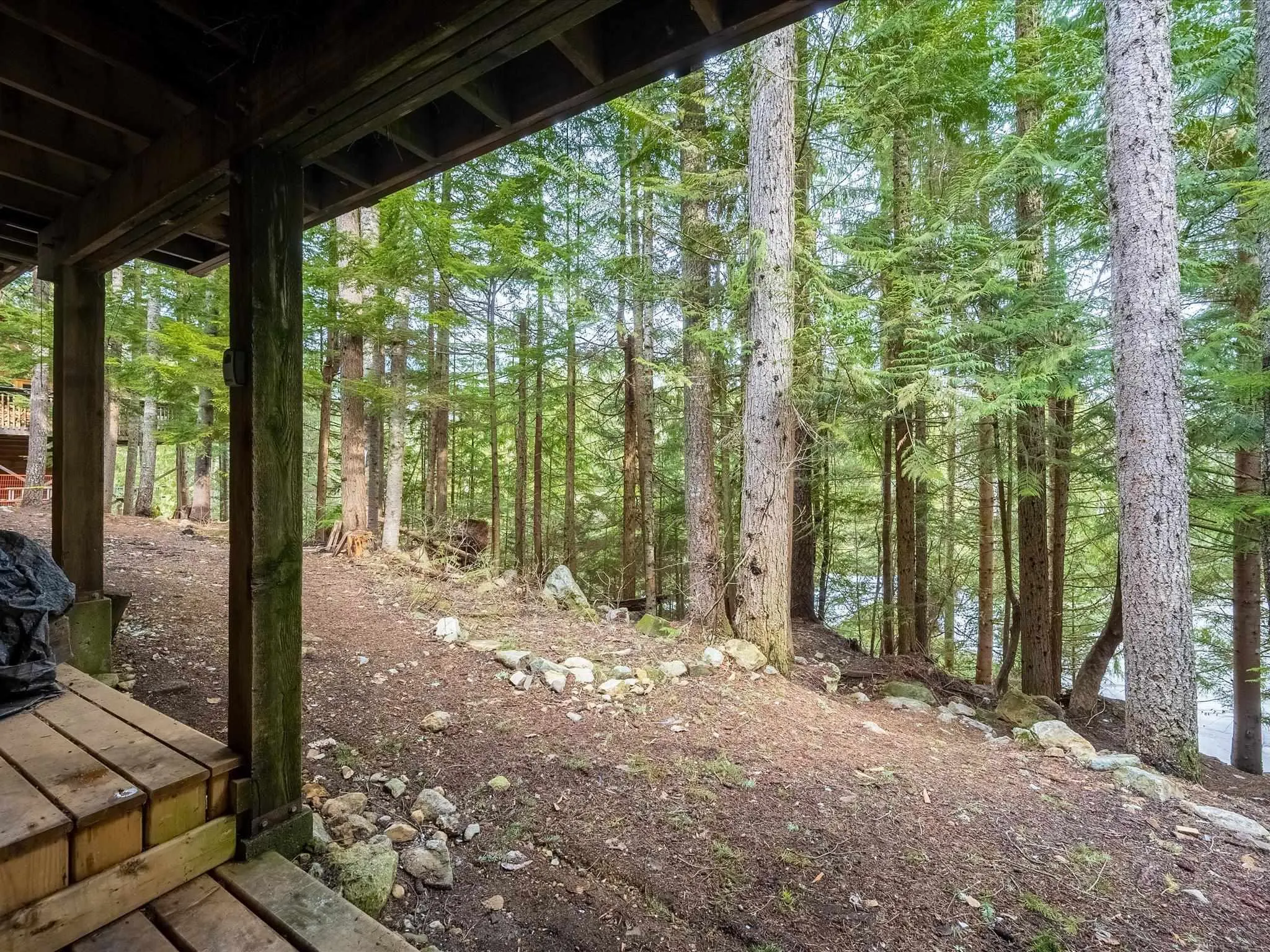 D 2317 Brandywine Way