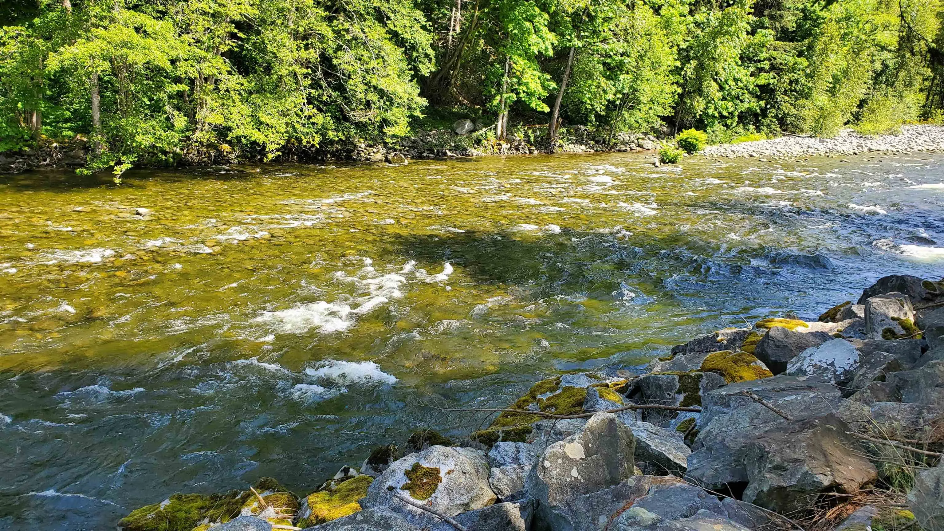 1006 2016 Fullerton Avenue