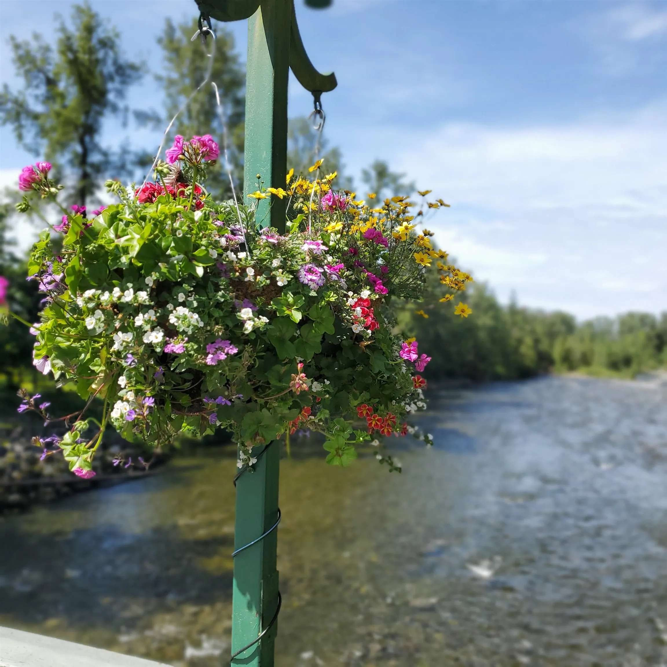 1006 2016 Fullerton Avenue