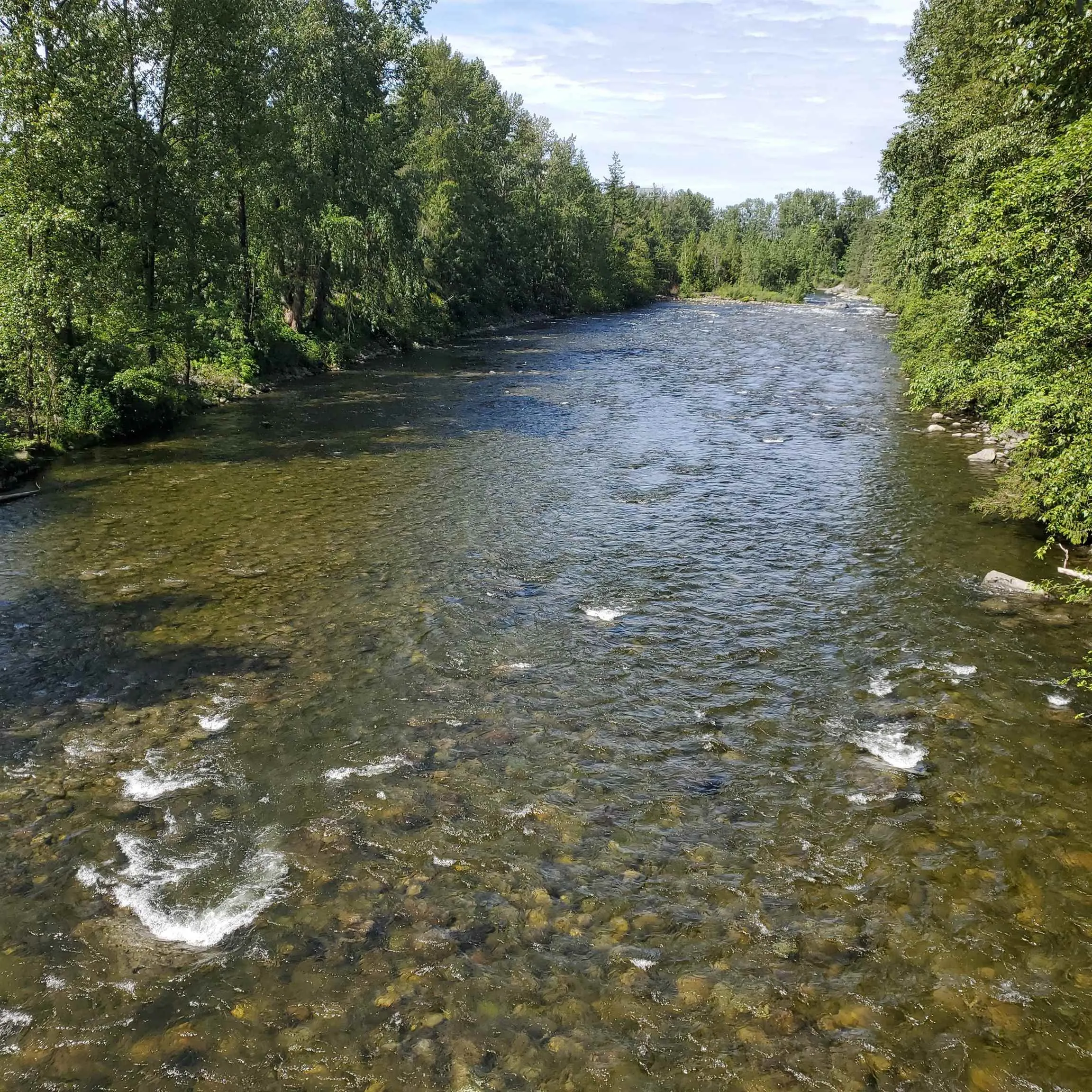 1006 2016 Fullerton Avenue