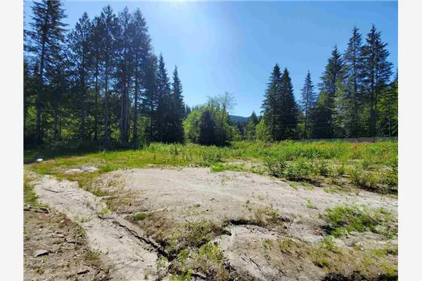 12767 Cardinal Street