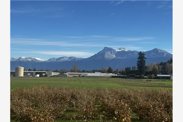 10254 Wedgewood Drive