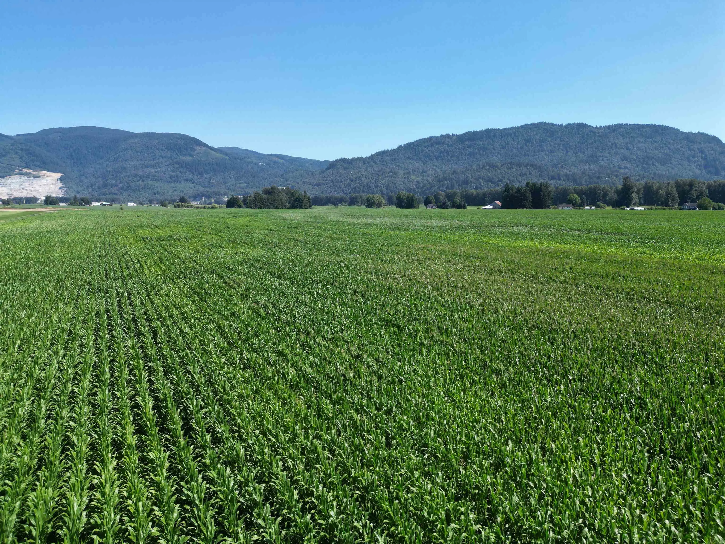 49AC Hyde Buker Road