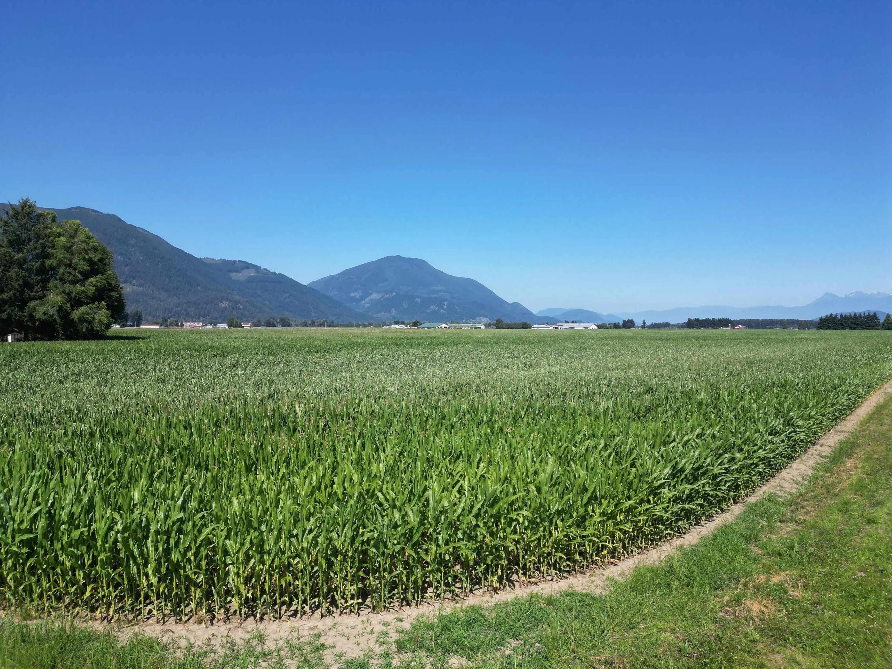 49AC Hyde Buker Road