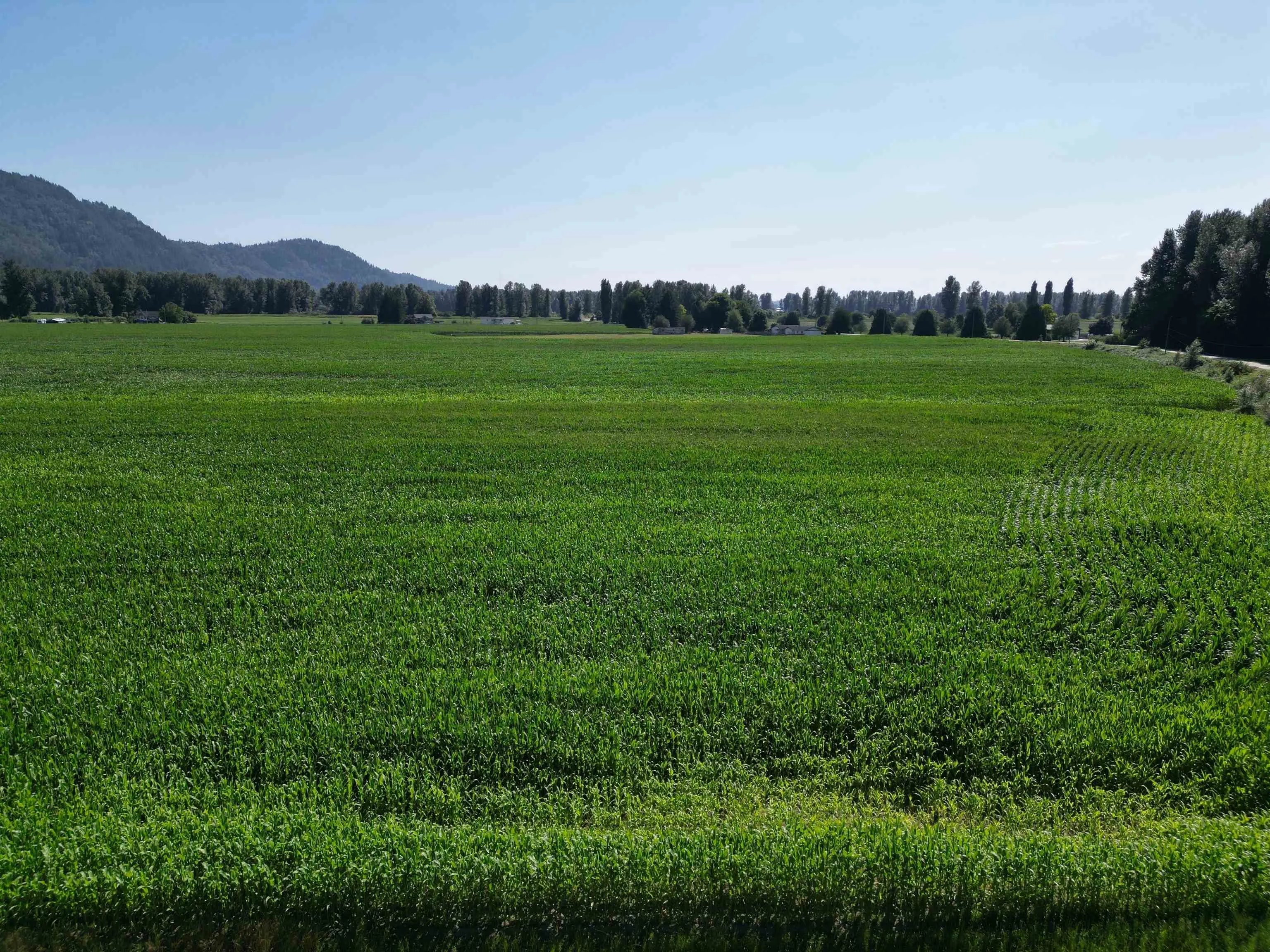 49AC Hyde Buker Road